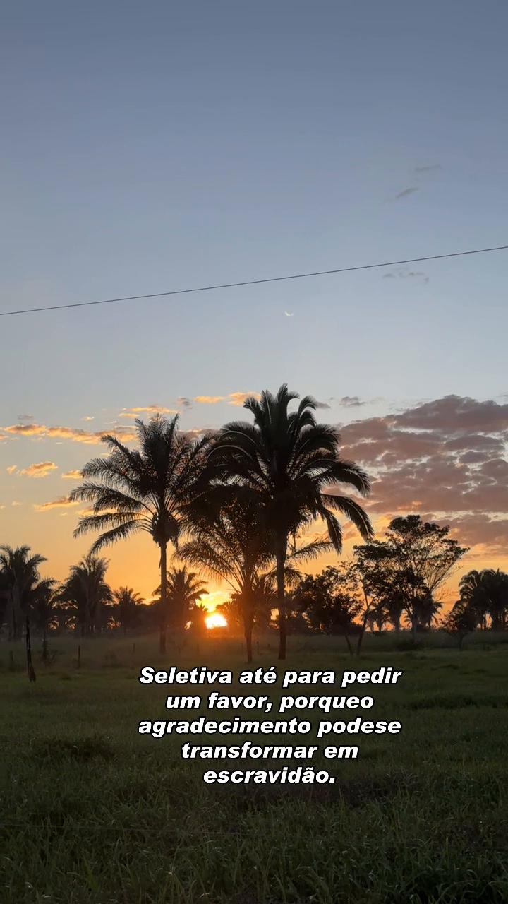 @diolina2_
