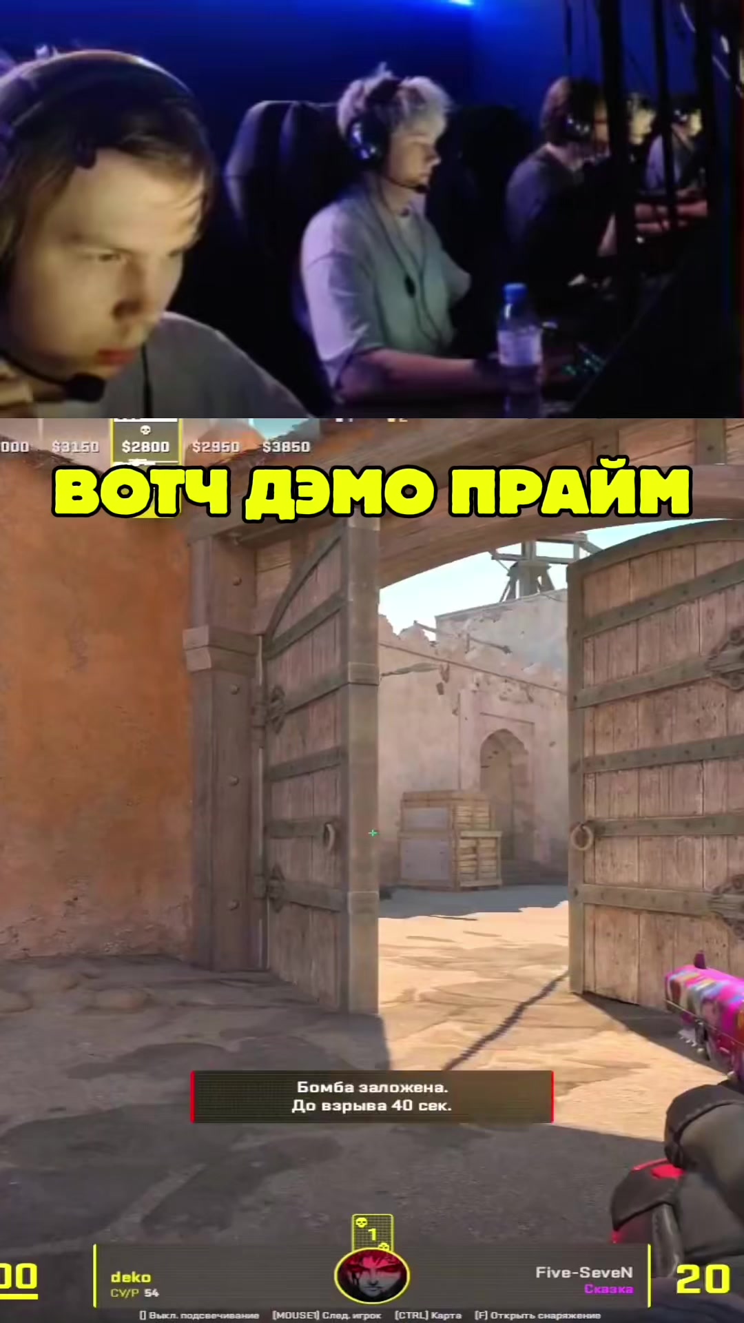 @ЧаХлео Твич