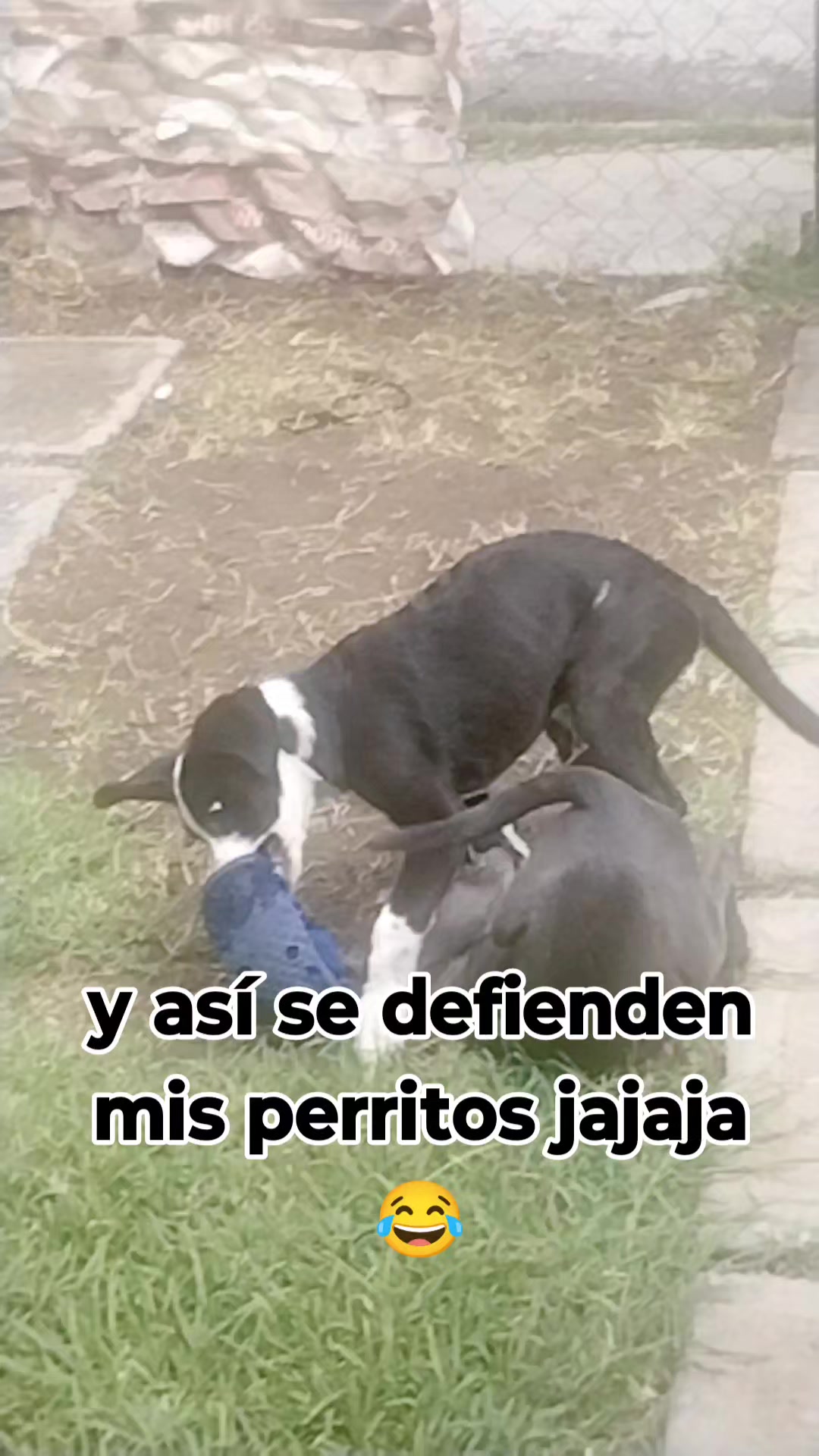 @mi niña hermosa 😘