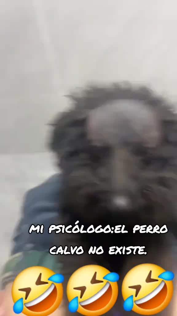 @Franco JC