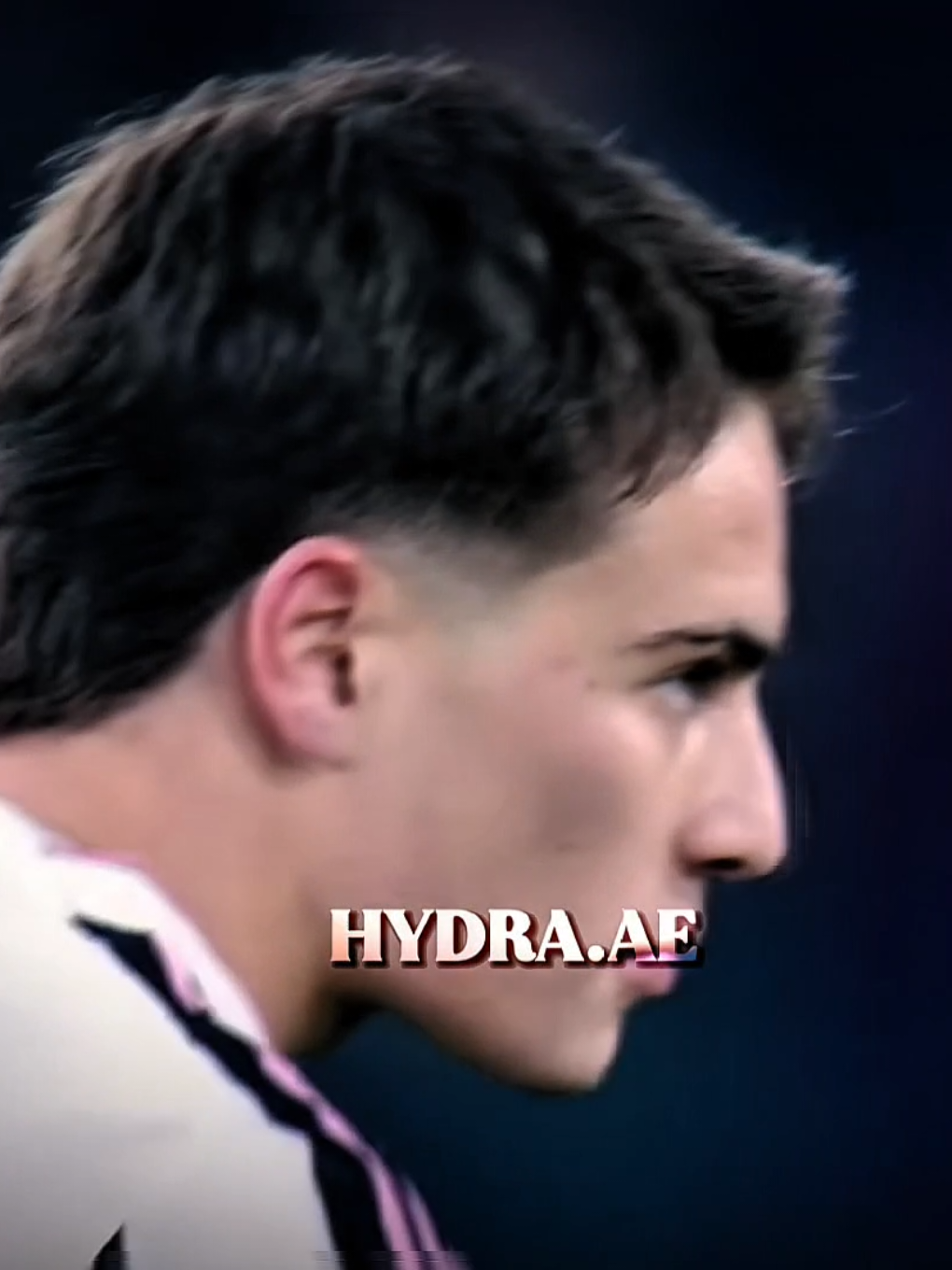 @HYDRA
