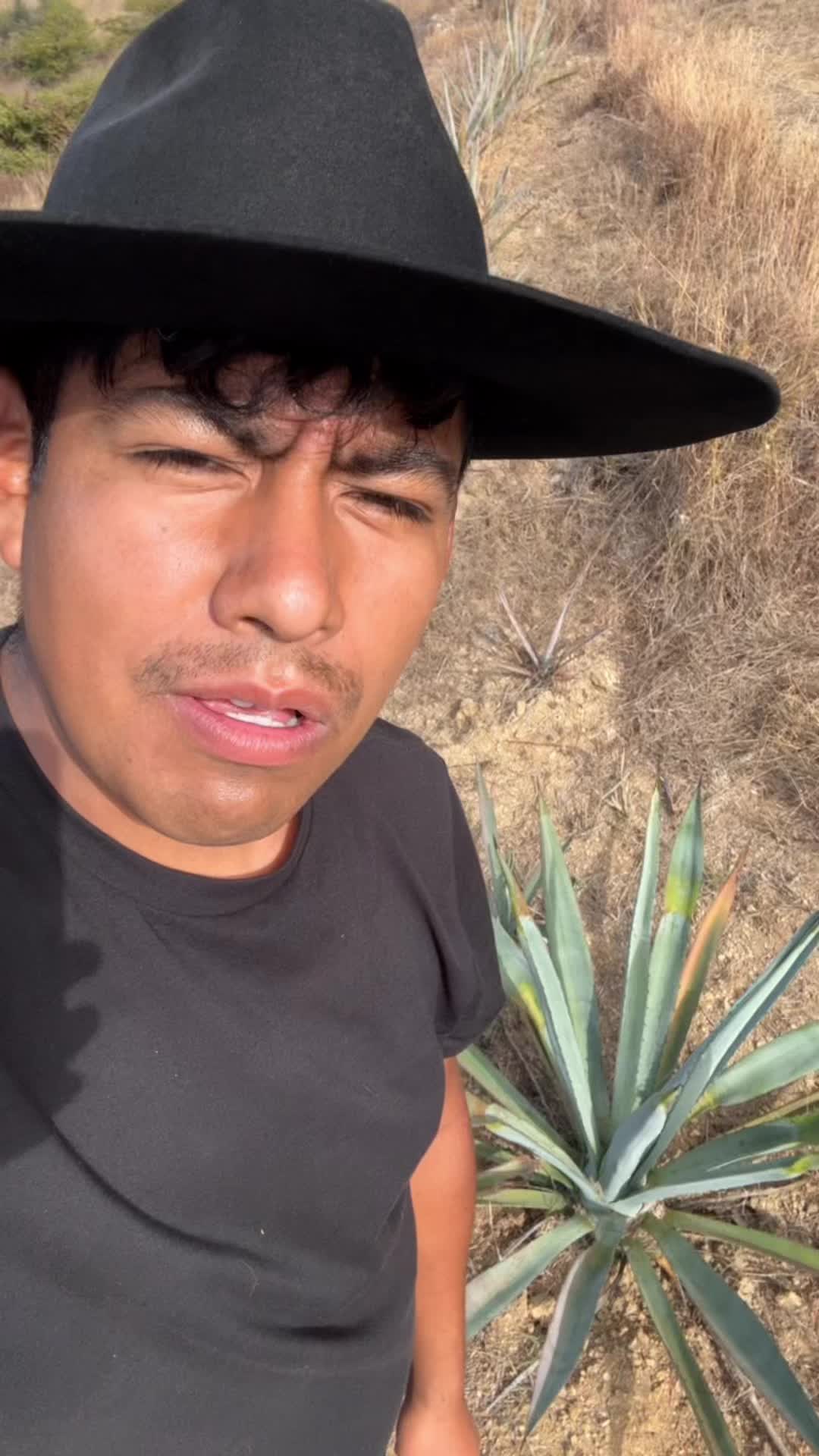 @Alex