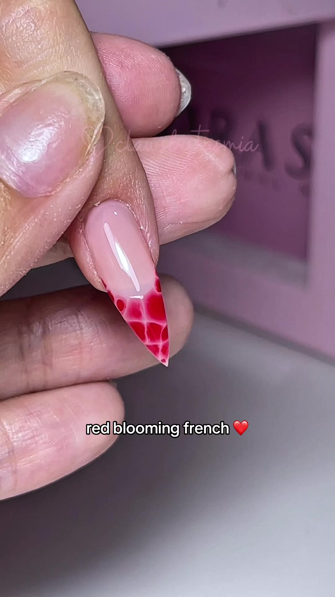 @clawsbytasmia ✨