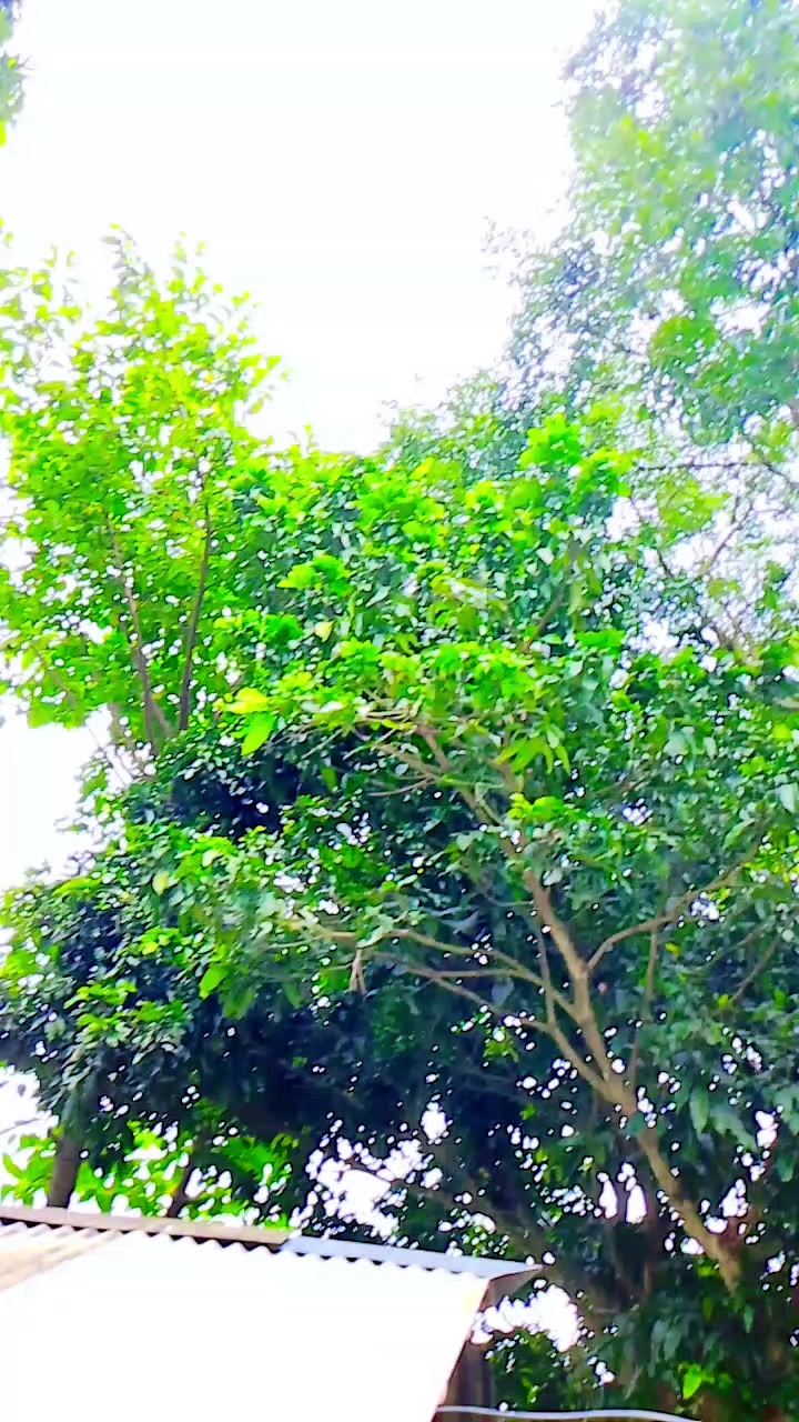 @đĢāĻŽāĻŋāĻĨā§āϝāĻž→āĻāĻžāϞ⧠~āĻŦāĻžāϏāĻž āĻāĻžāĻāύāĻž đ