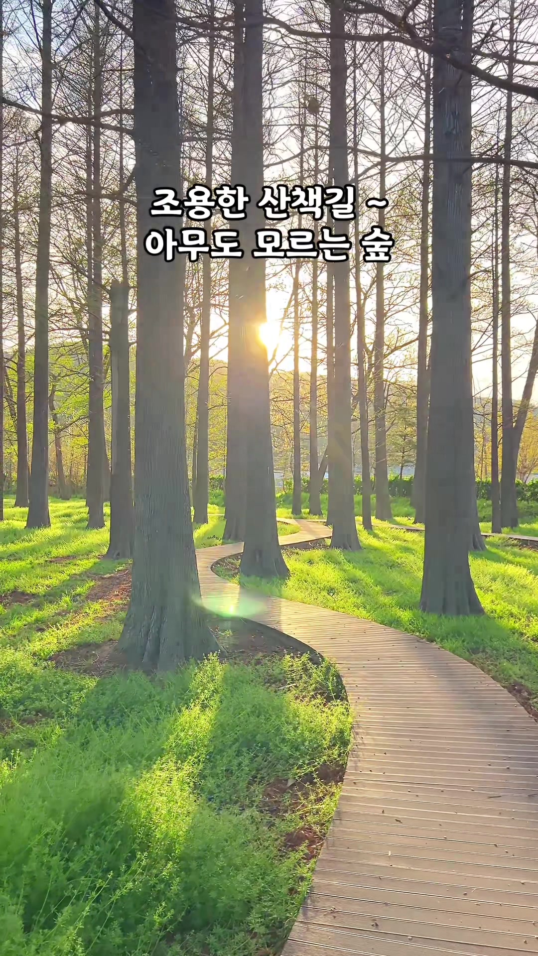 @알록달록프레임