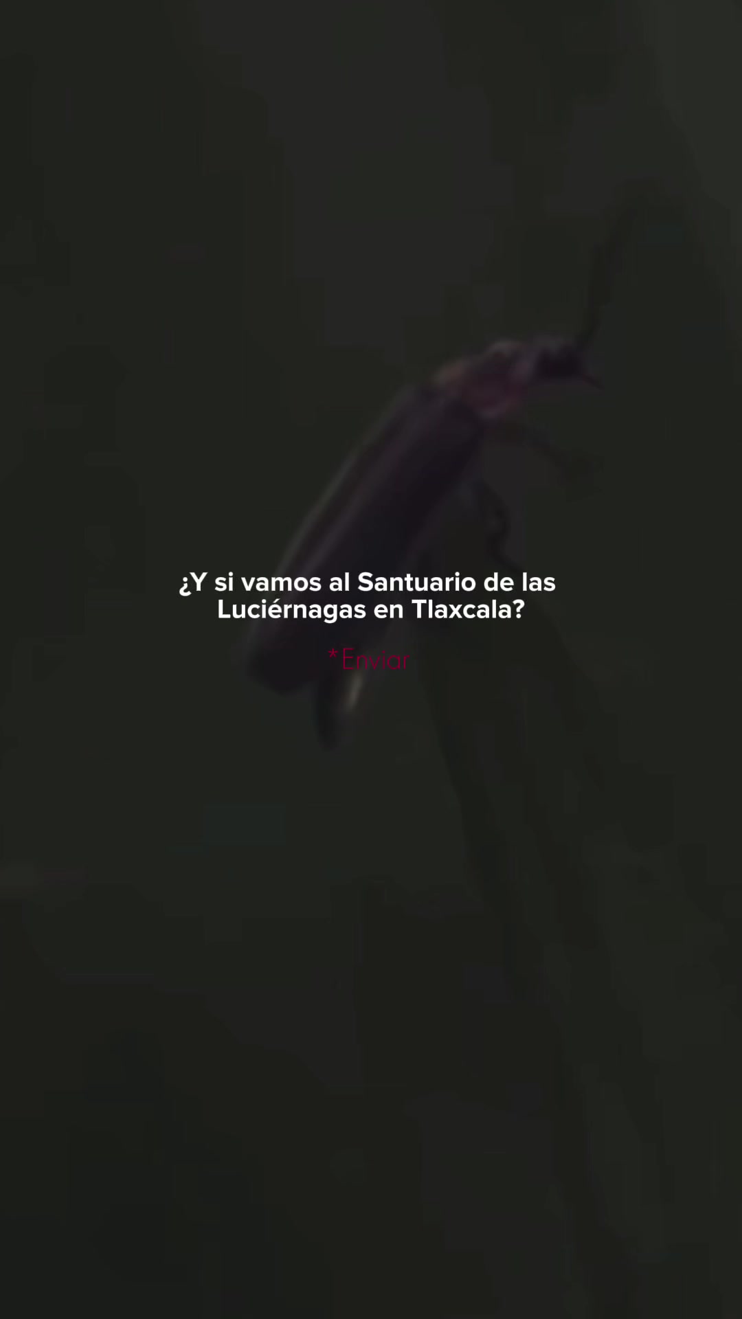@Pueblaengrande