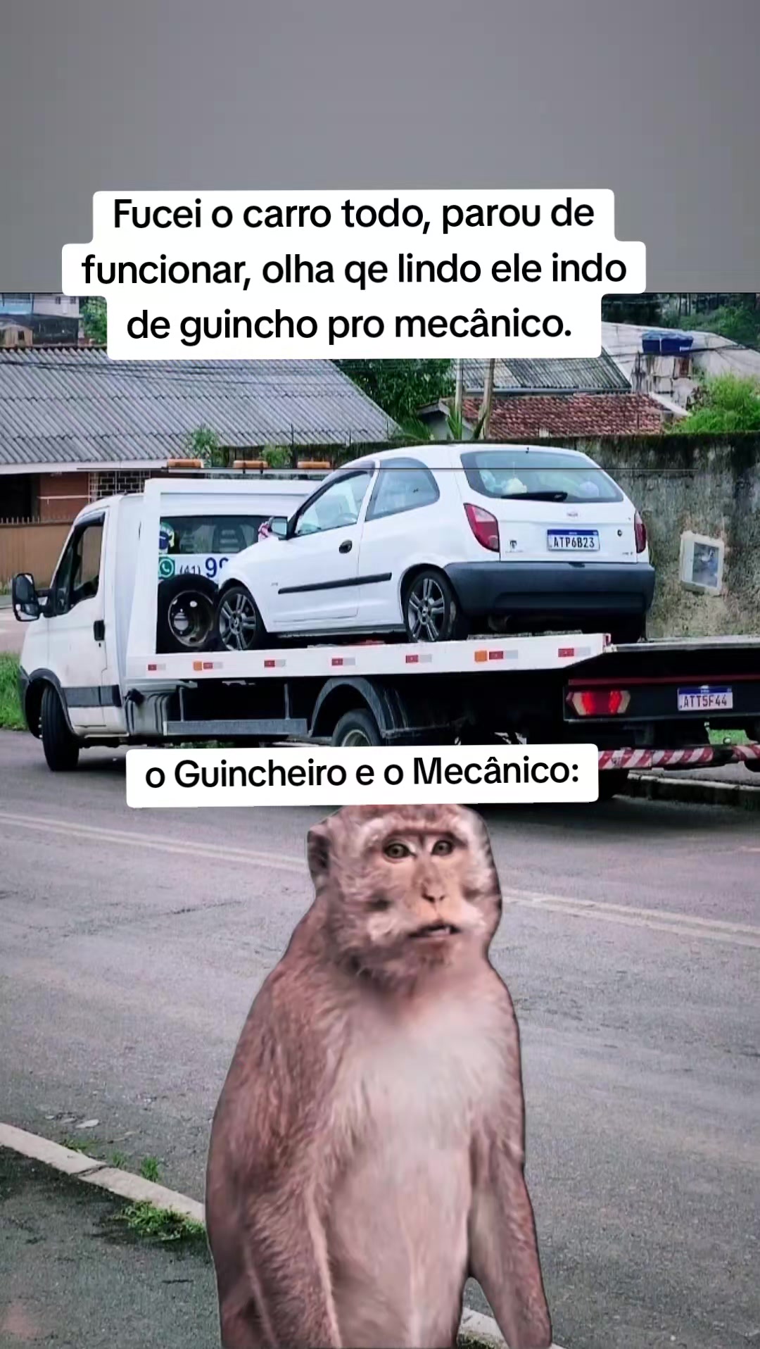 @Rafaela Pereira