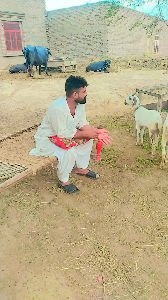 @kaleemahmed612