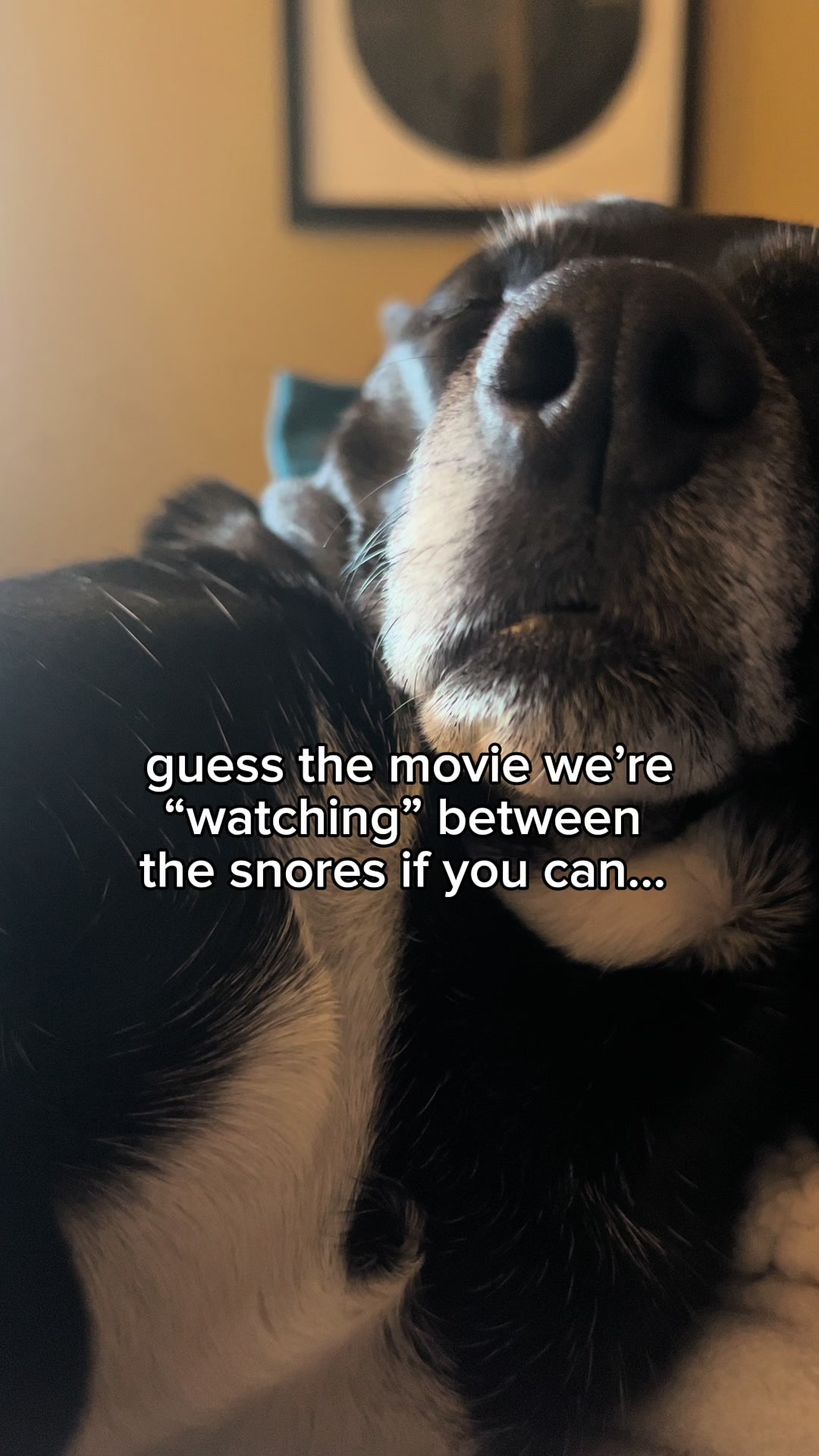 @Candice + Willow &hearts;️🐾