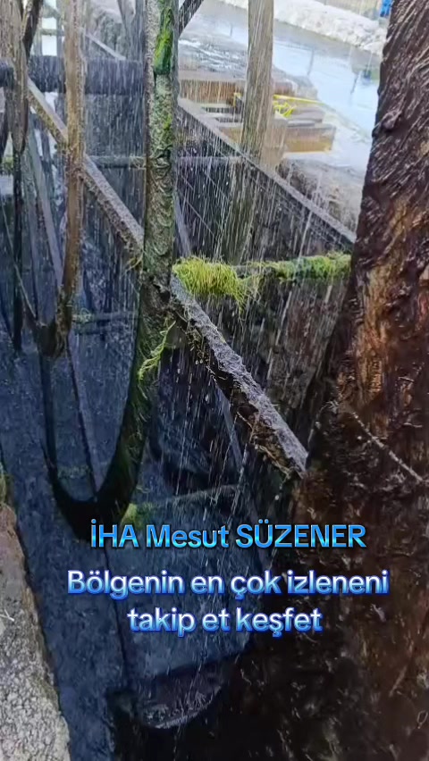 @mesut süzener
