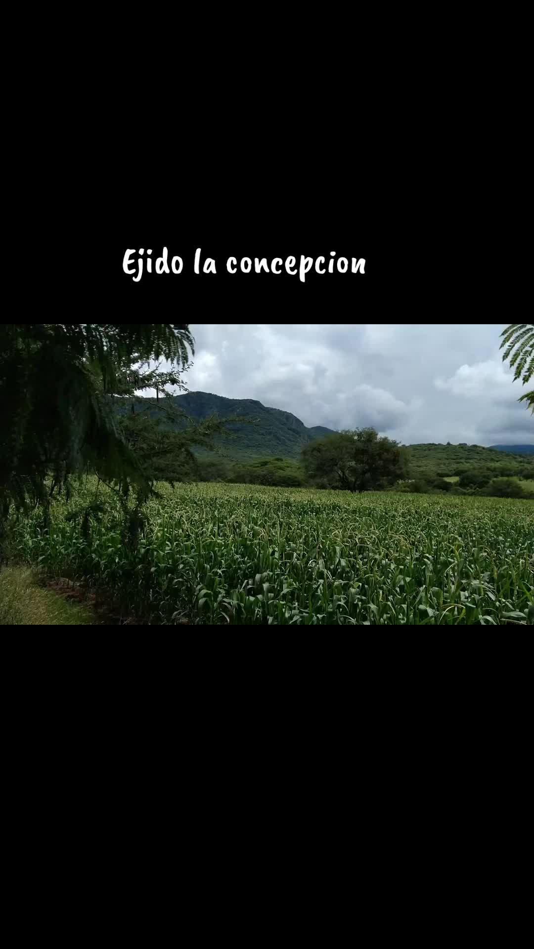 @Antony Saavedra