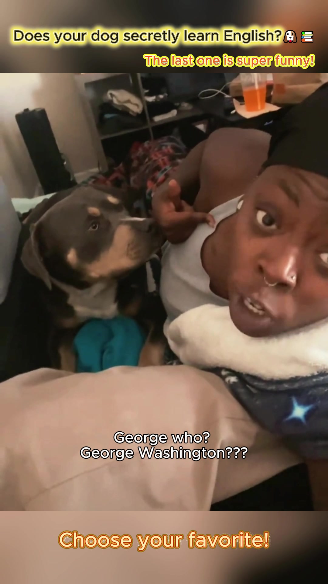 @pet.funny799