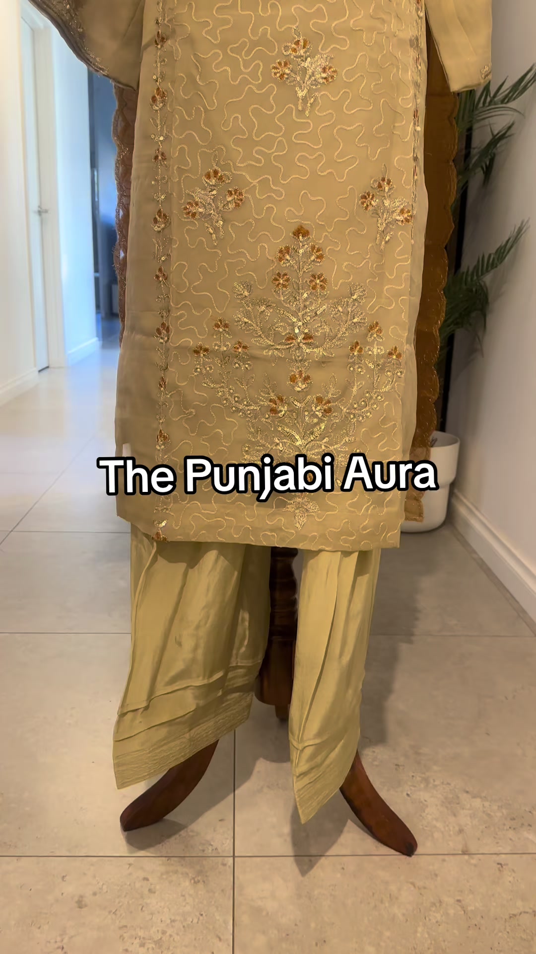 @The Punjabi Aura