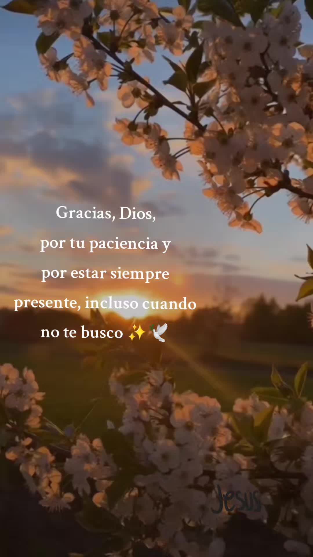 @Gabriella ✝️☦️