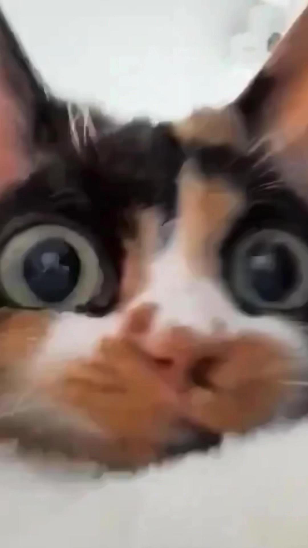@𝕄𝕣ℂ𝕙𝕣𝕚𝕫𝕫