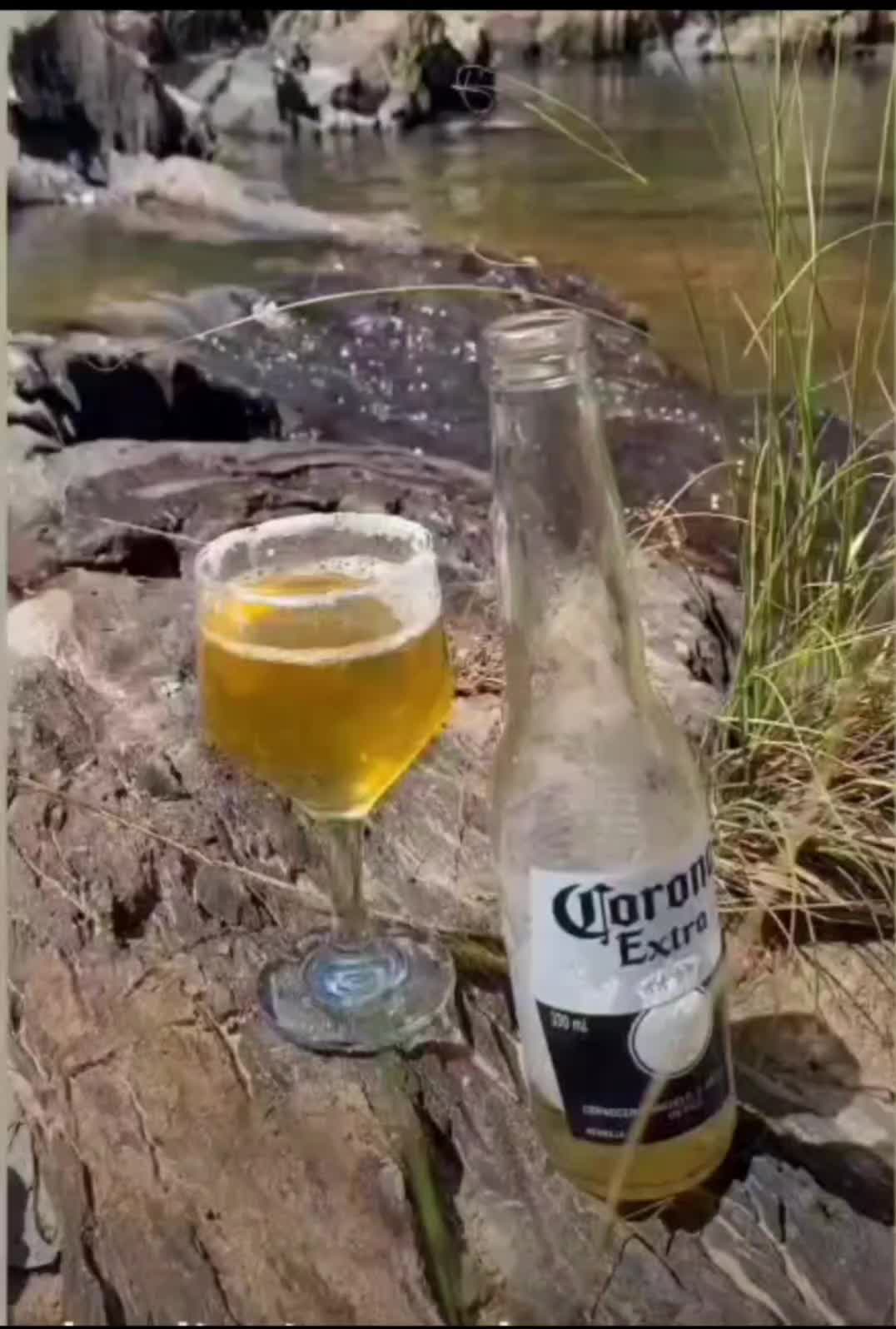 @el panda solitario