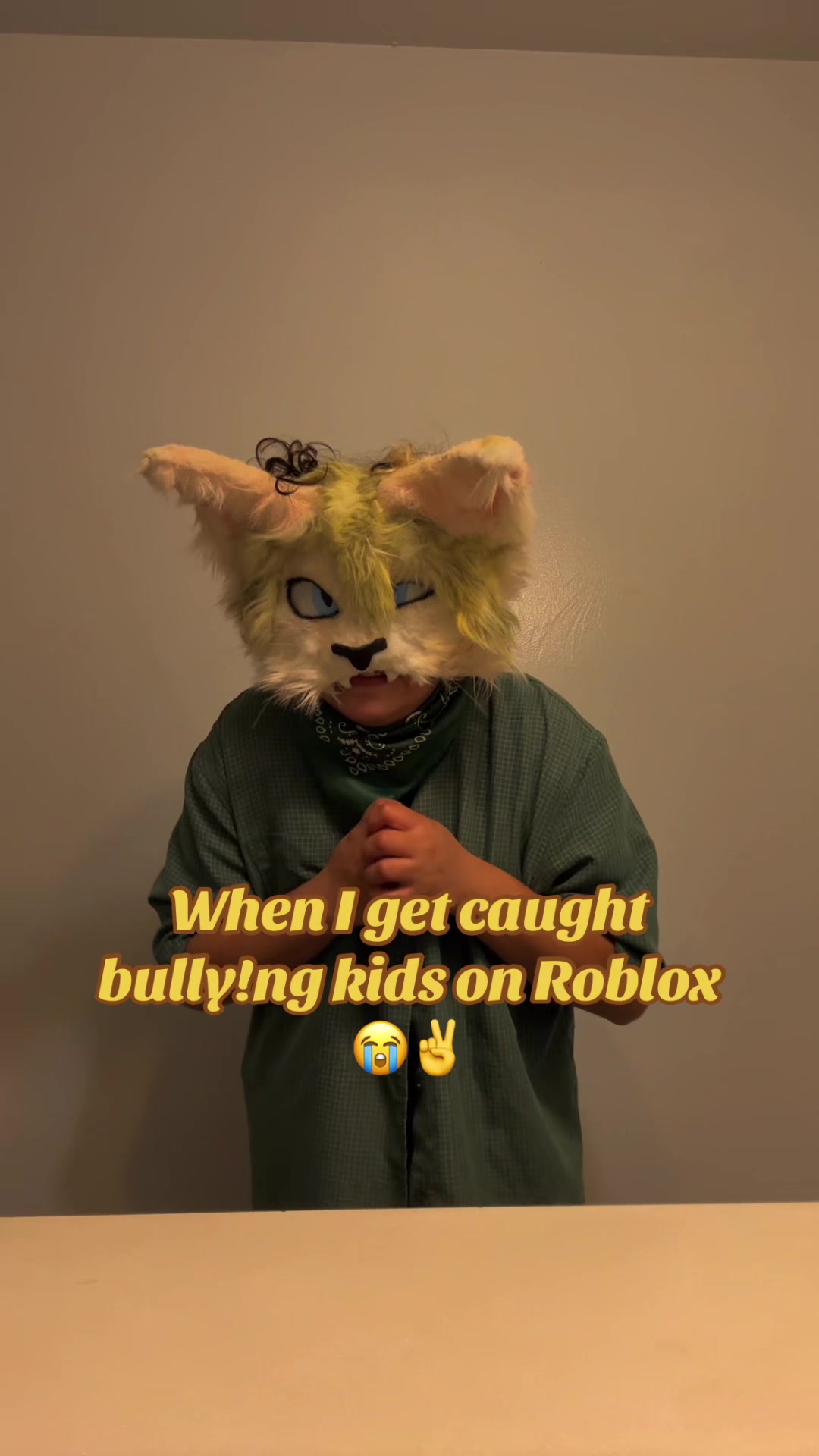 @collieollieboy