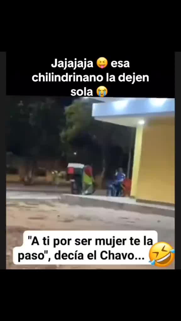 @el panda solitario