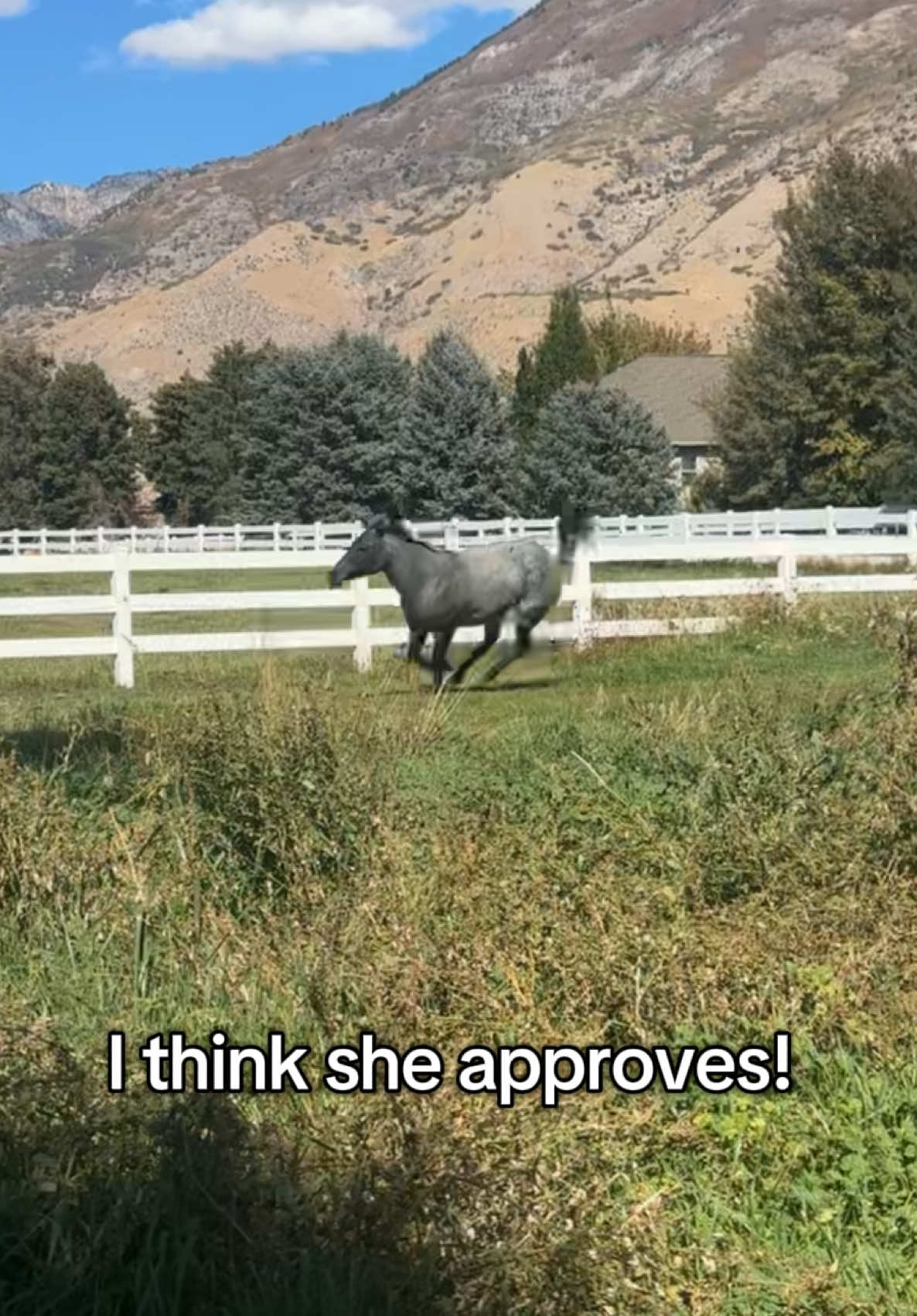 @Demi Kane