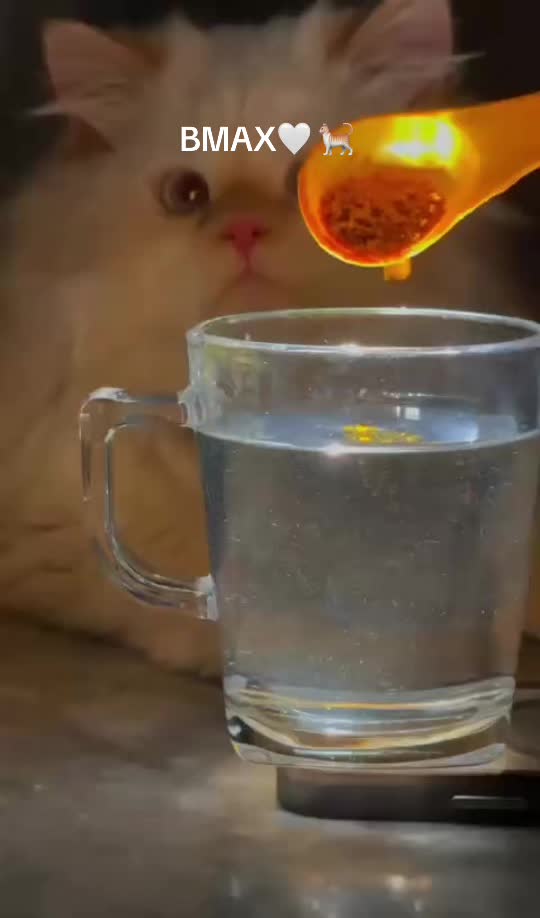 @Tajik_Tabar