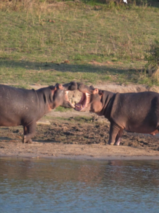 @Madbookings Travel Namibia