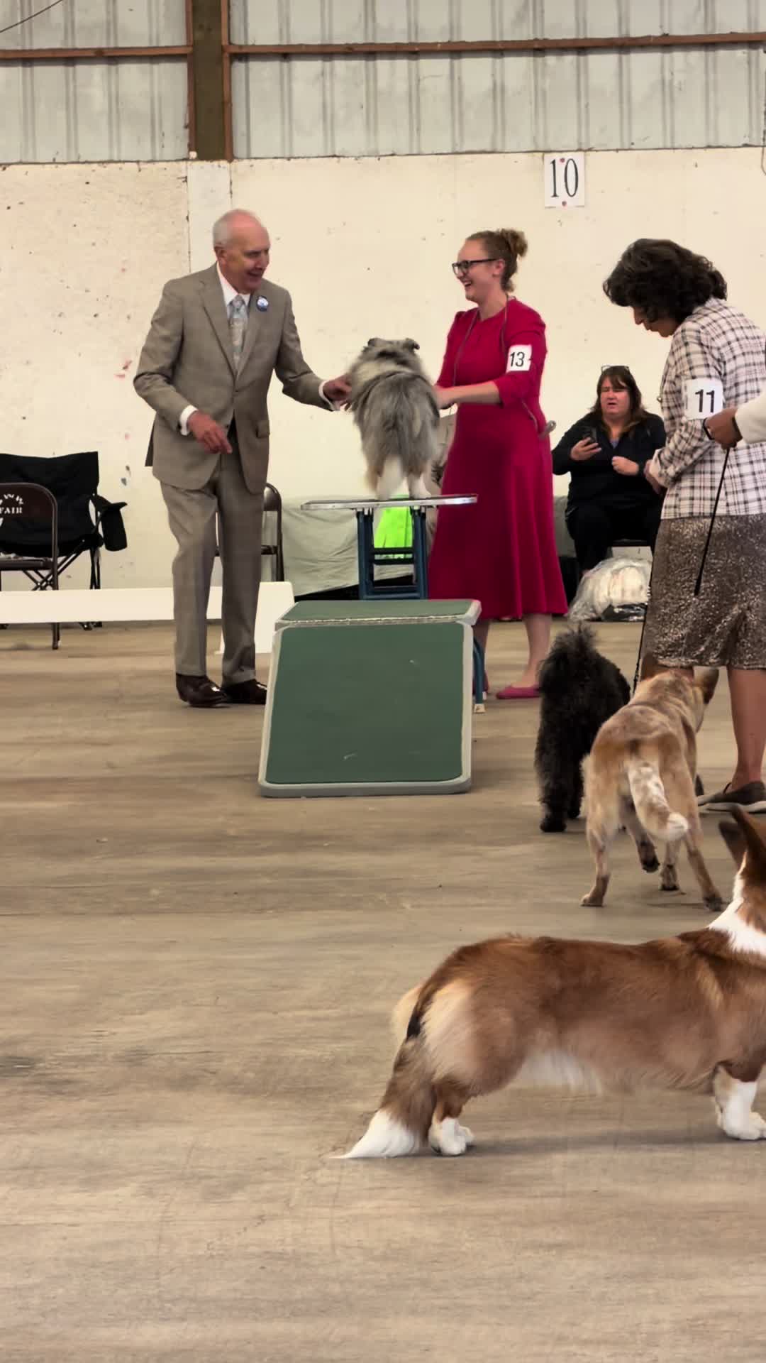 @Heather Discovery Canine Adv.