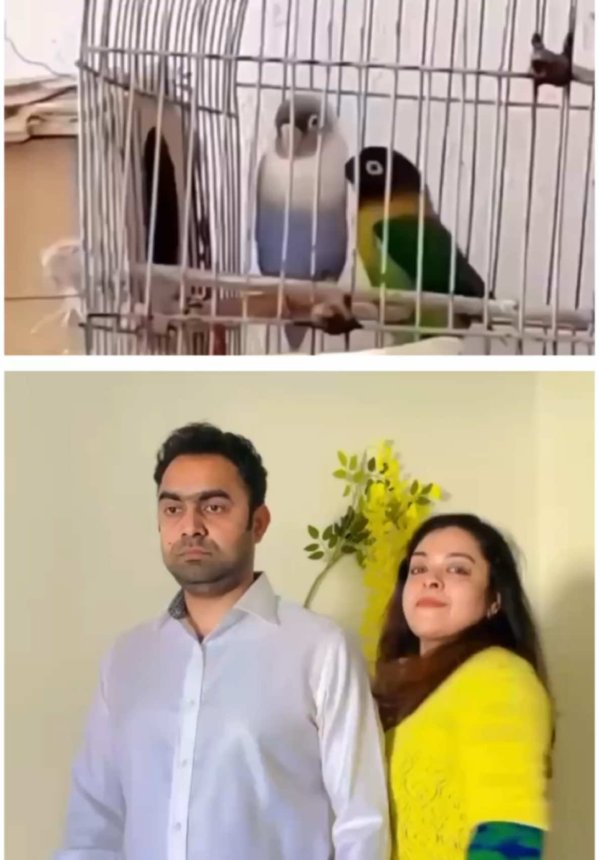 @Radhika - Abhil