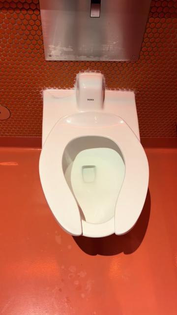 @𝓟𝓪𝓾𝓵𝓮𝓽𝓽 𝓥𝓡