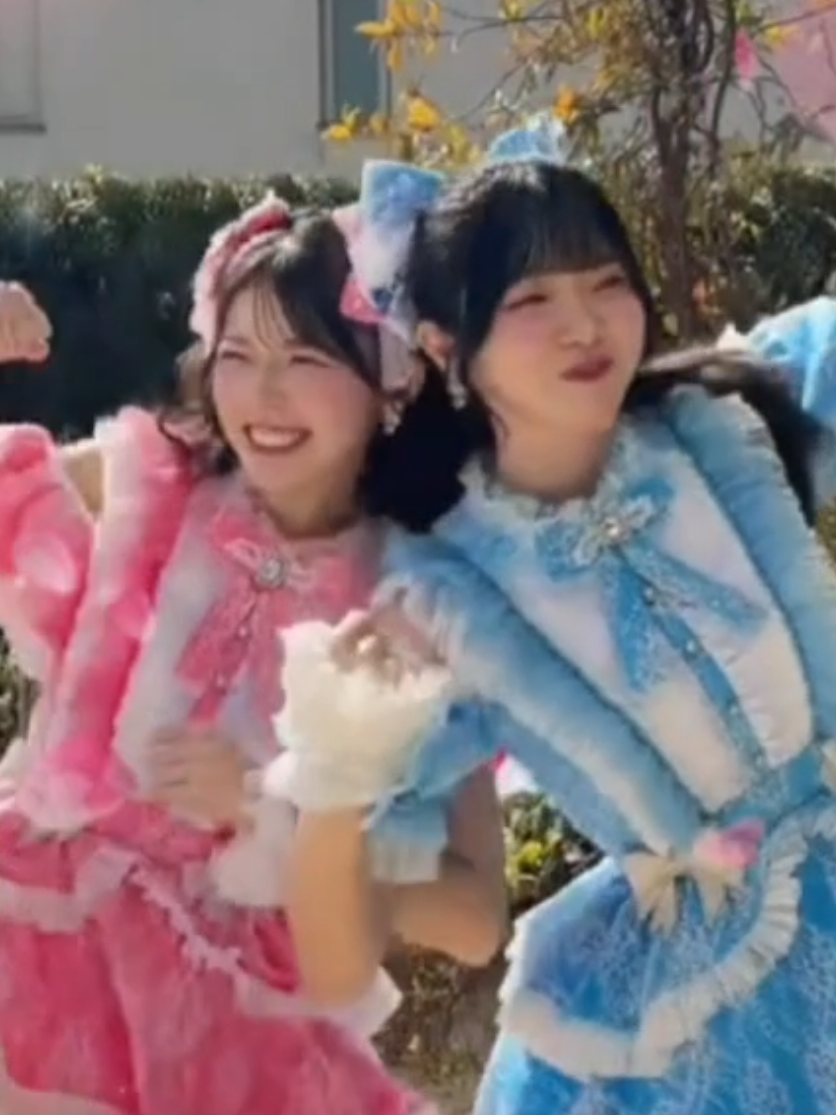 @チャトラン🌸
