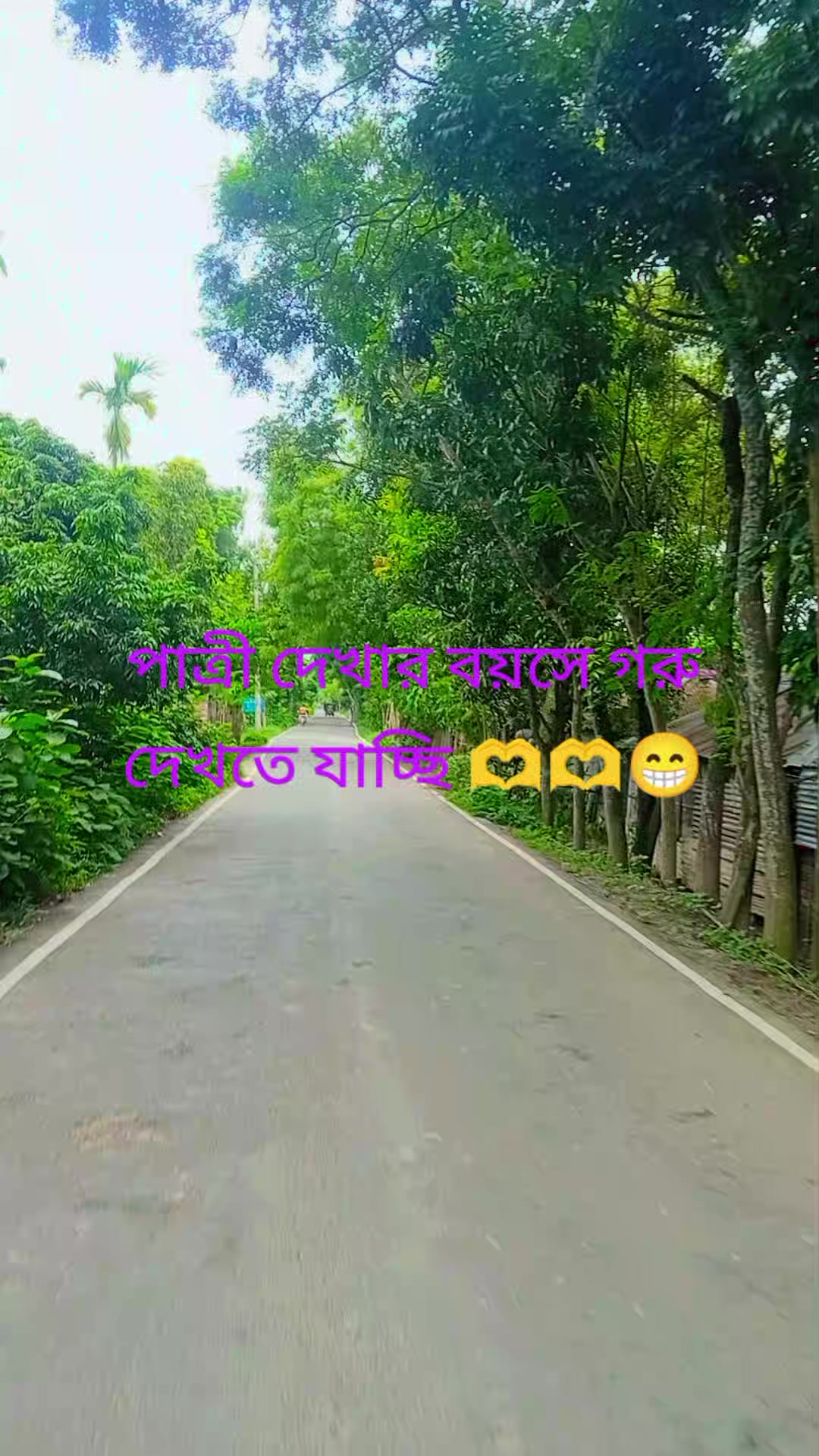 @Aminul Islam