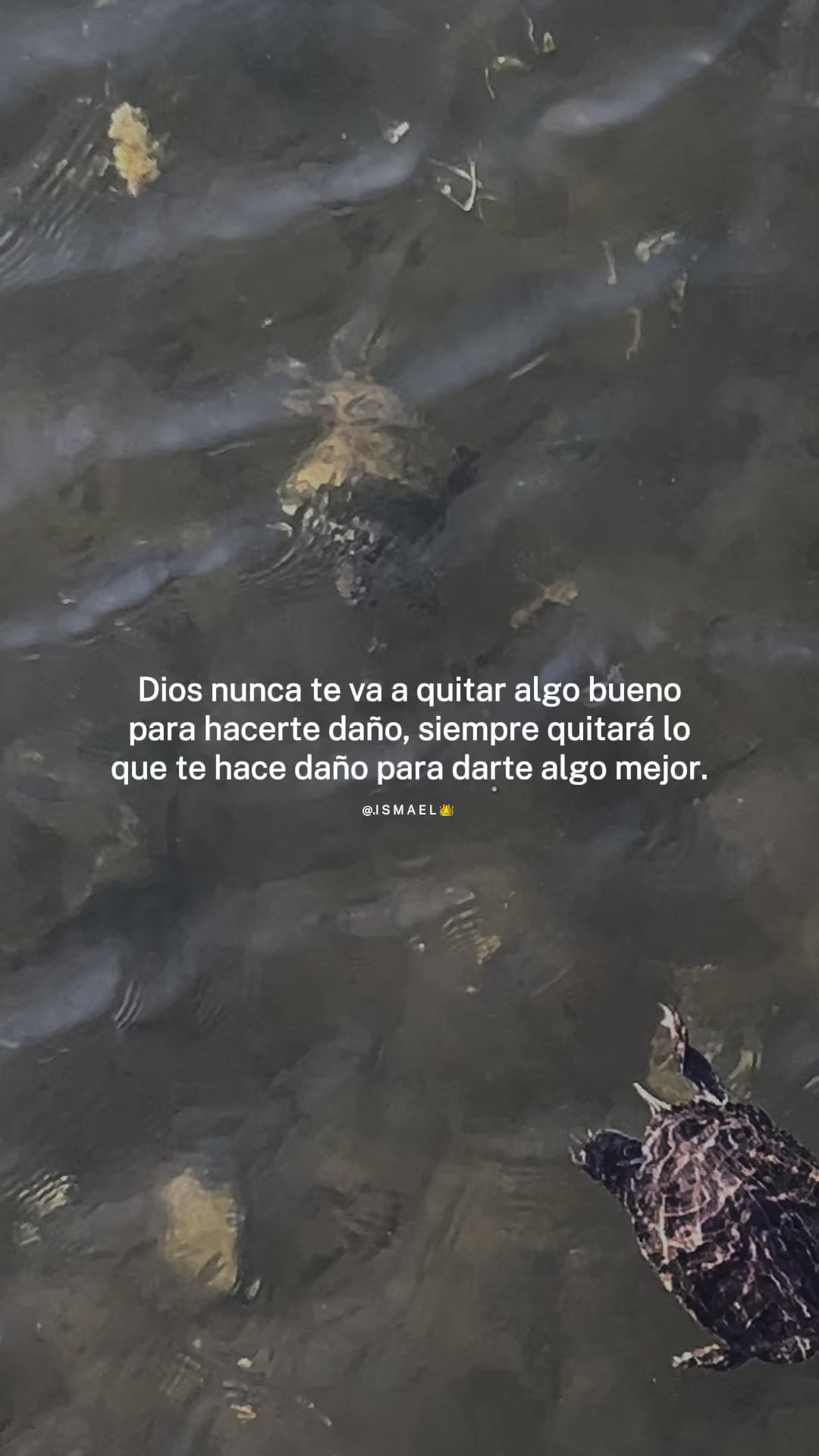 @🦋Mimi🦋Solis 🦋