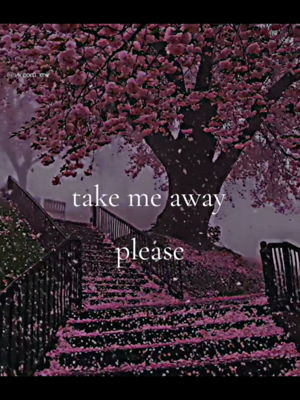 @6_6_6 I do not know 🌿