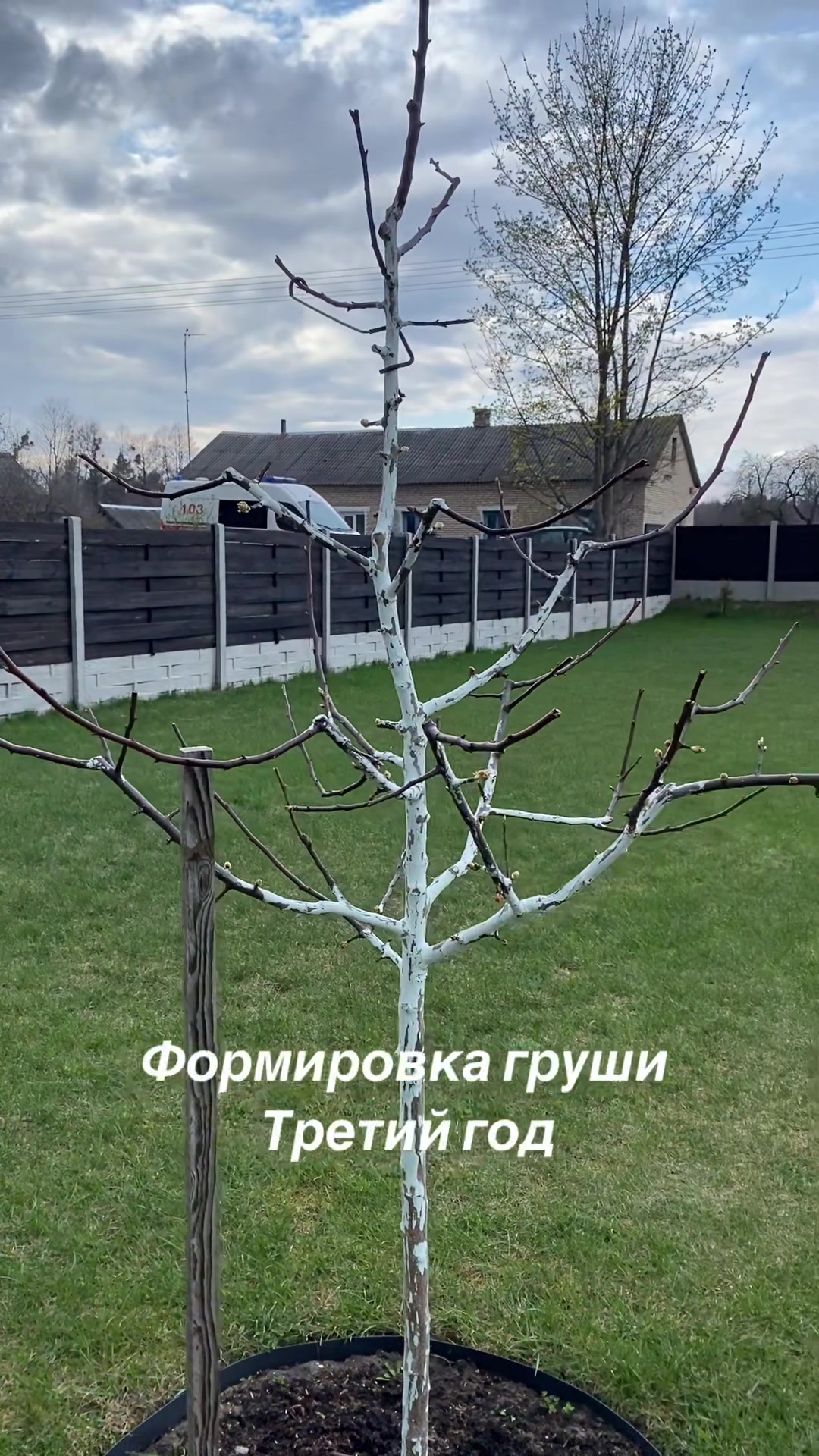 @сад🍏🍒🍇