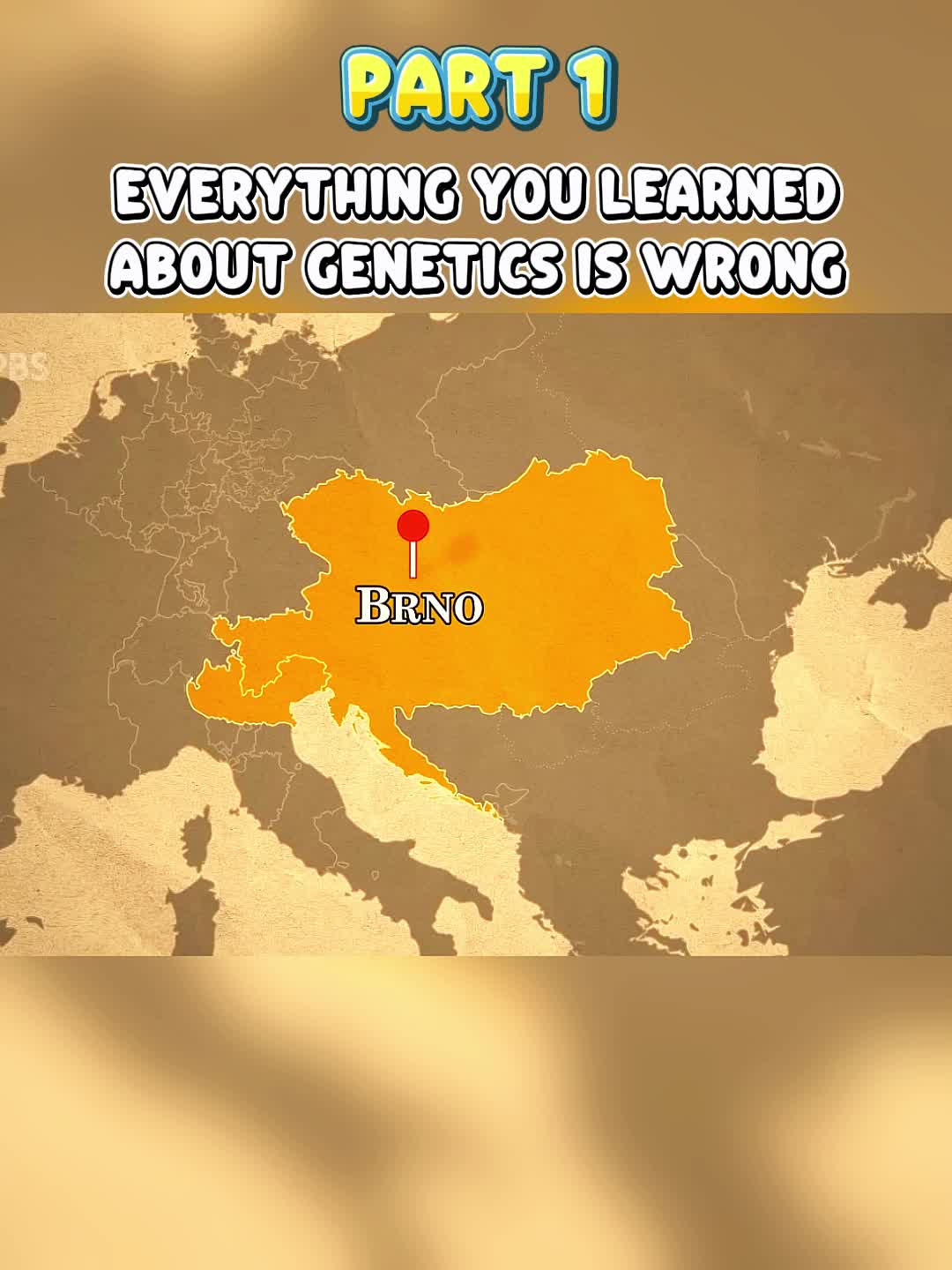 @Steven