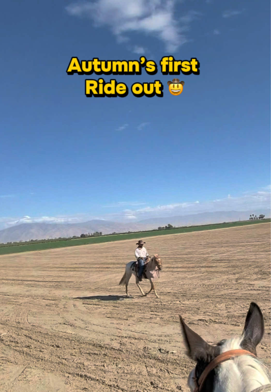 @Skylar Farming