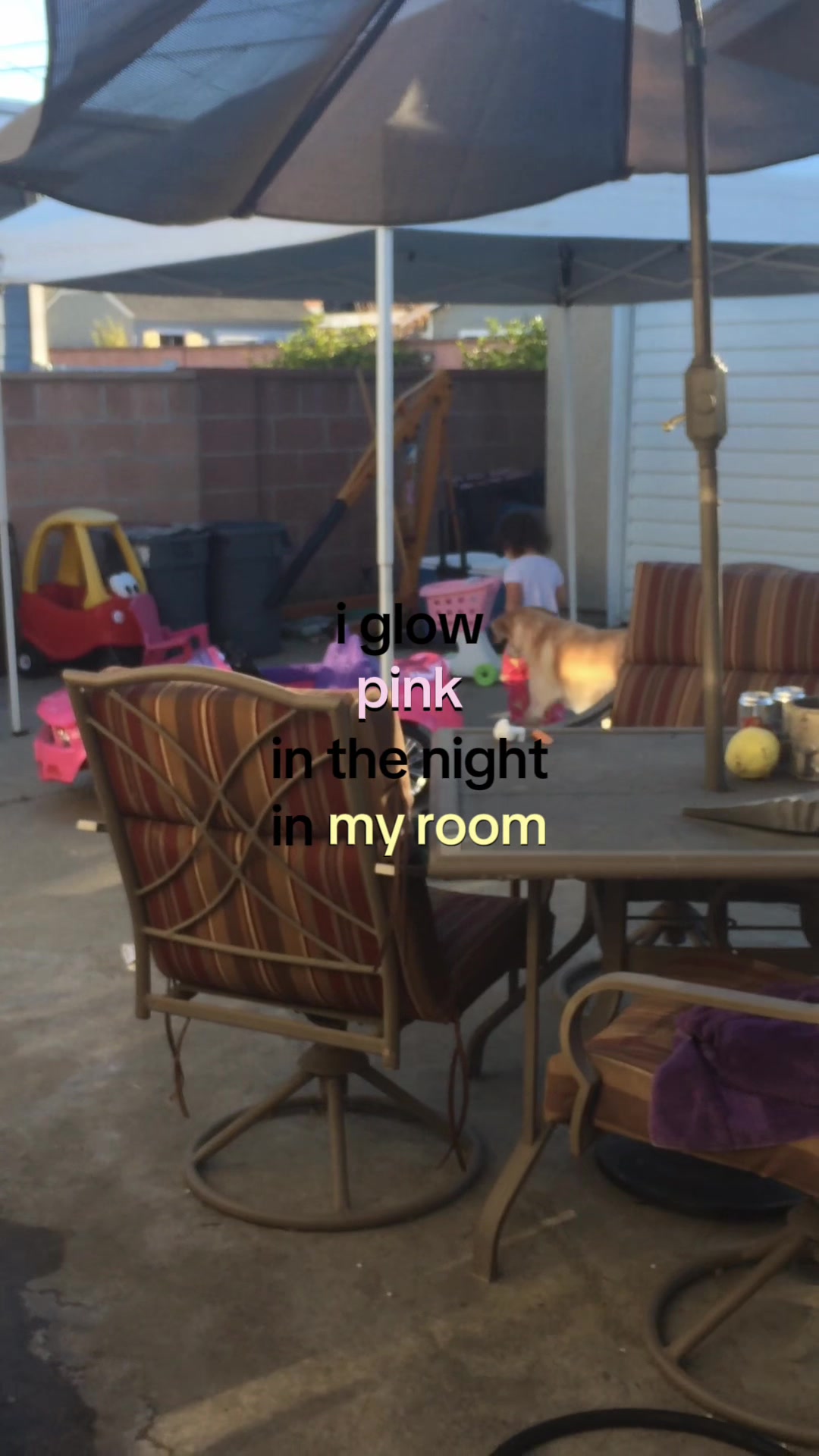 @⁎ˑ𖦹. 𝖽𝖾𝗇 .٠✶