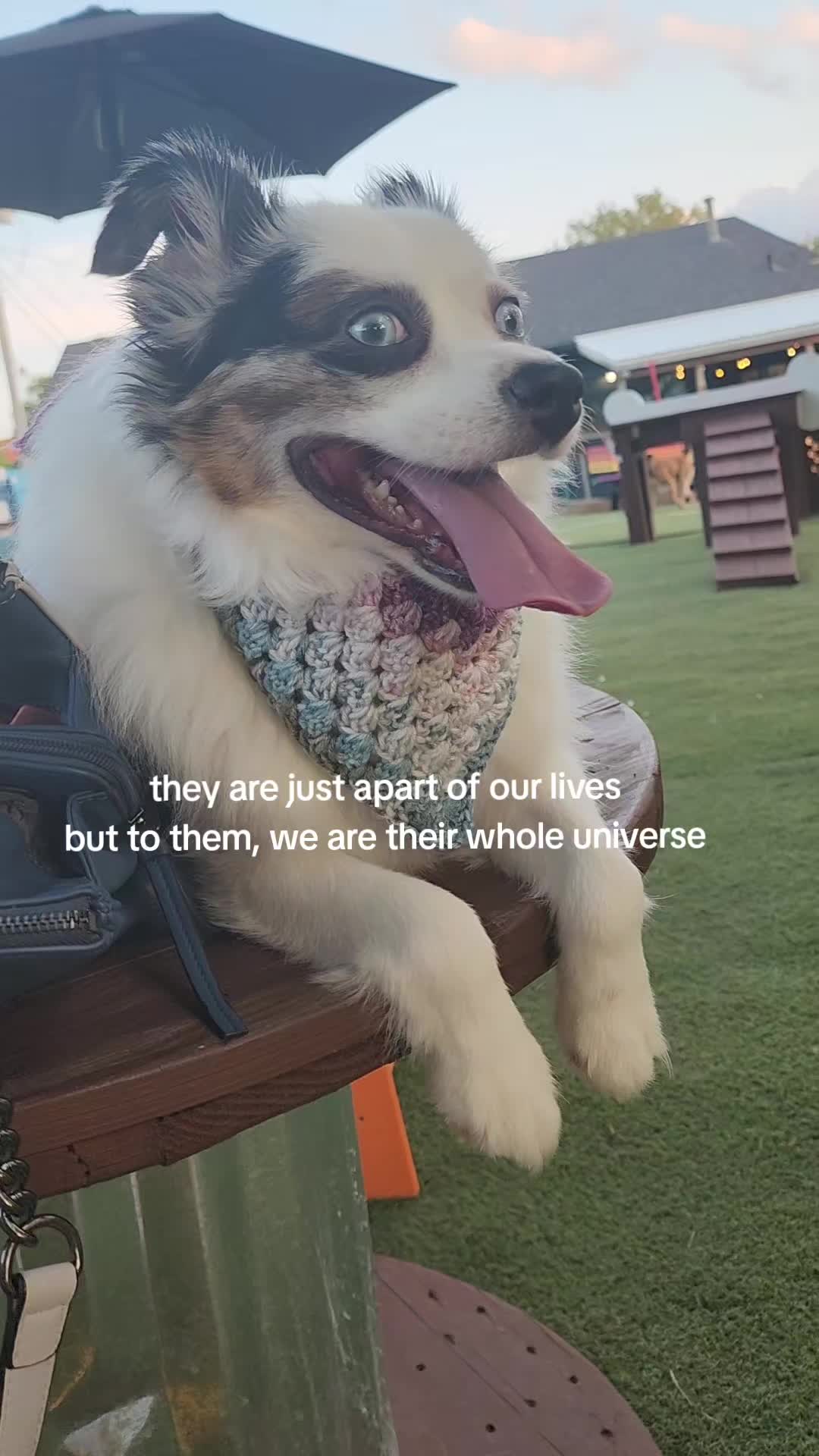@mrpuddles