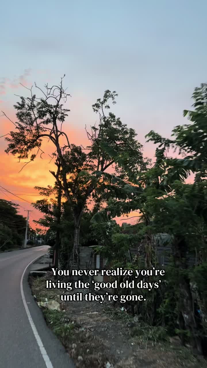 @Ari 🦋