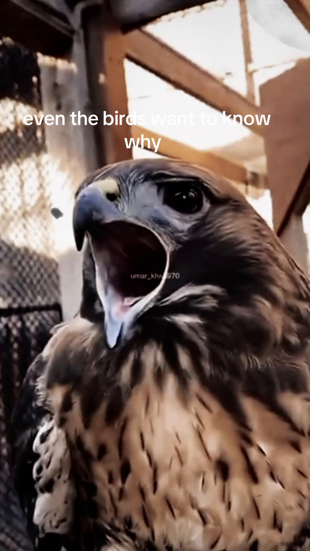 @myself included