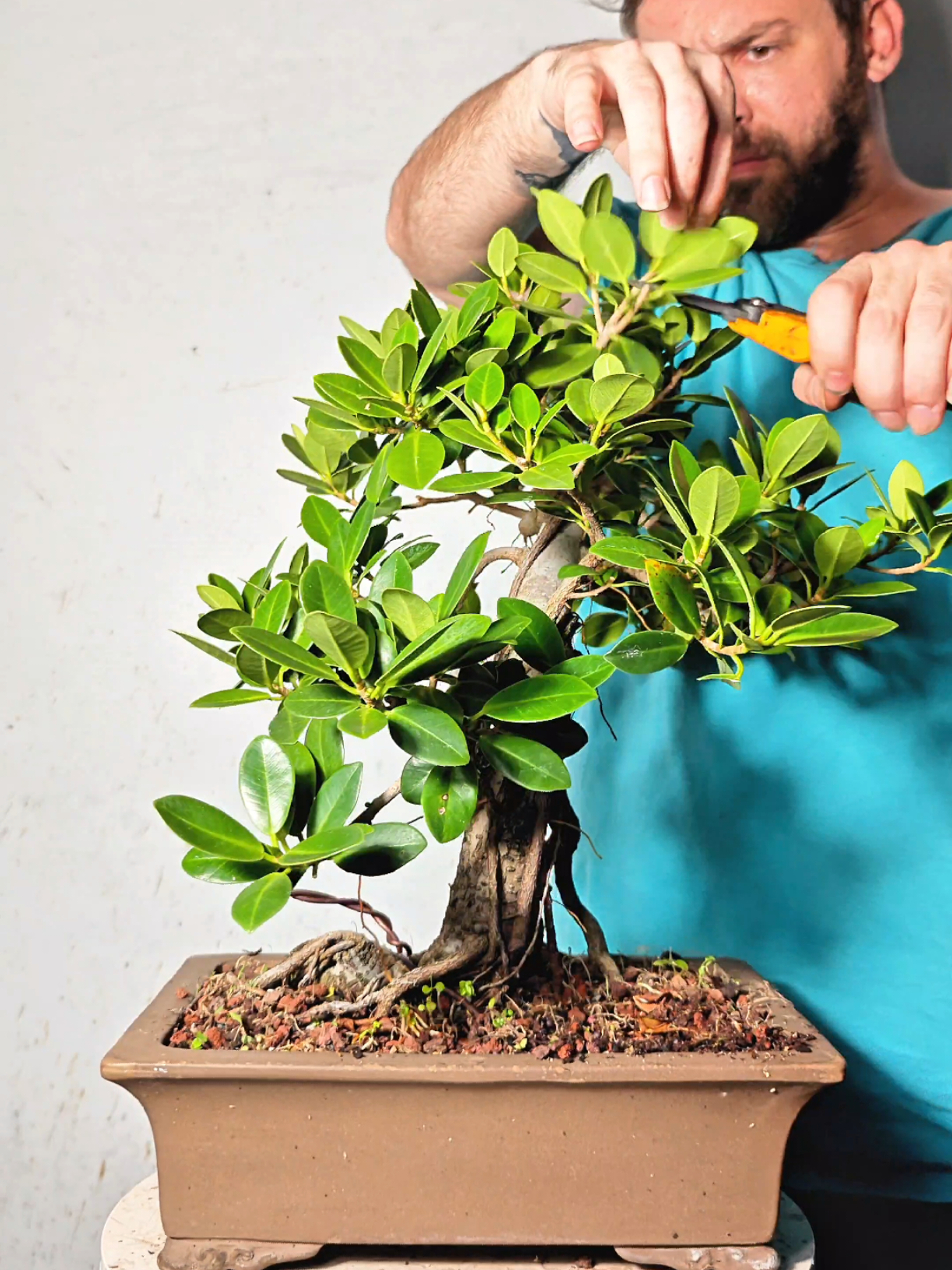 @Bryan Loves Bonsai