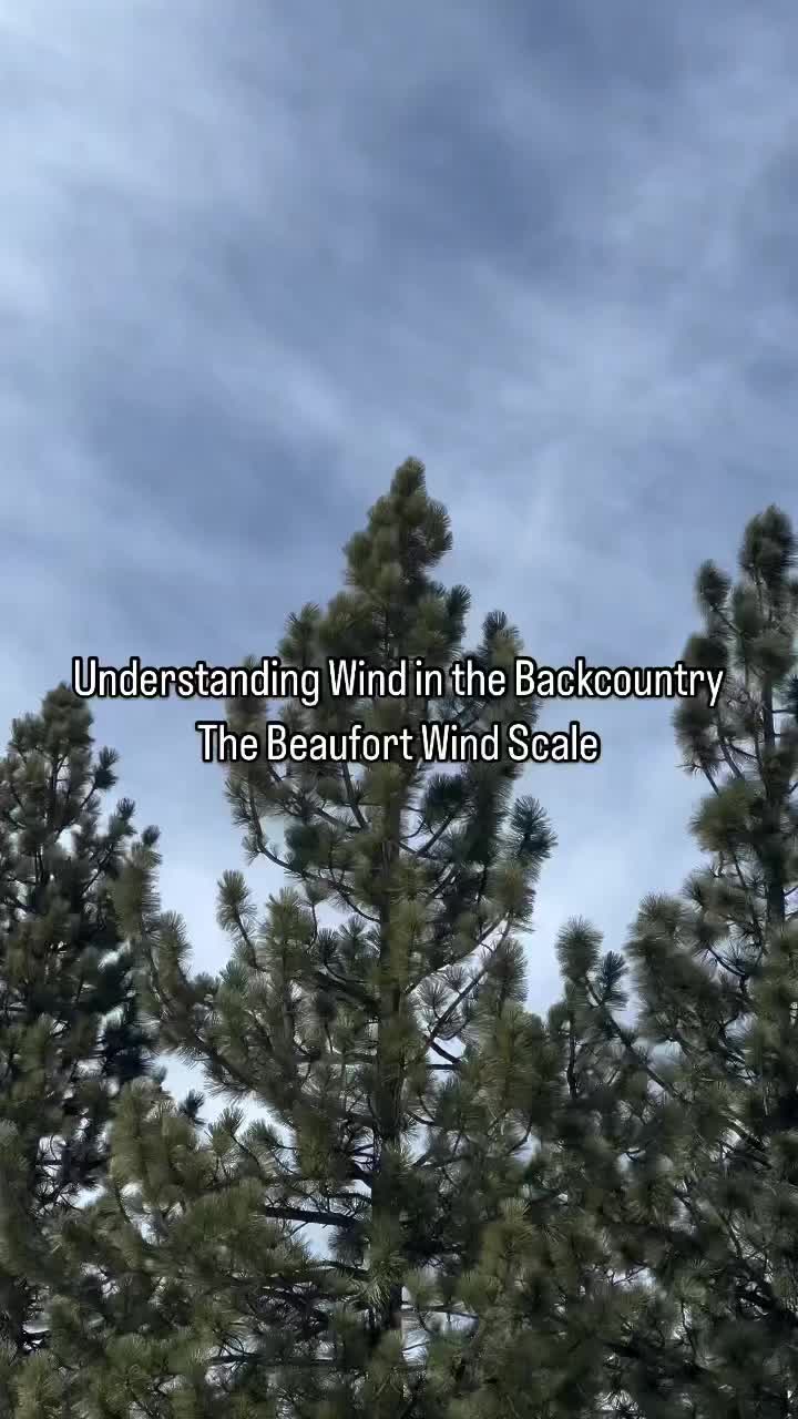 @wilderness.education