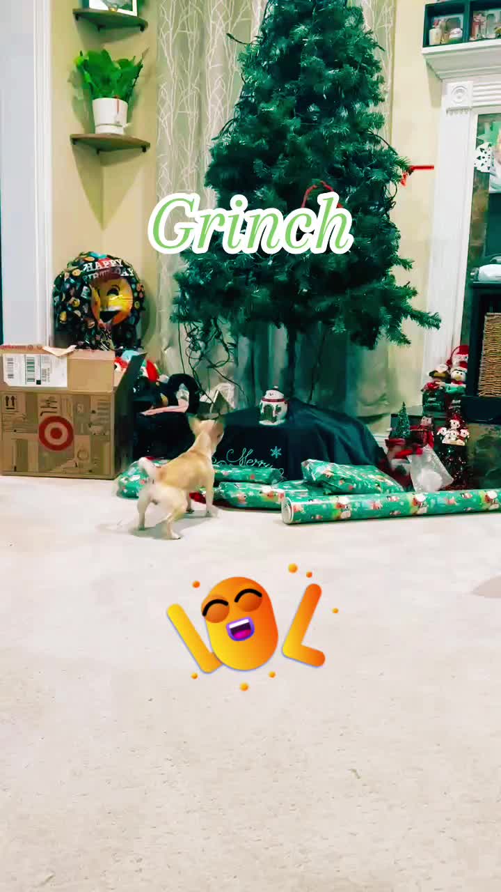 @MimiKyu