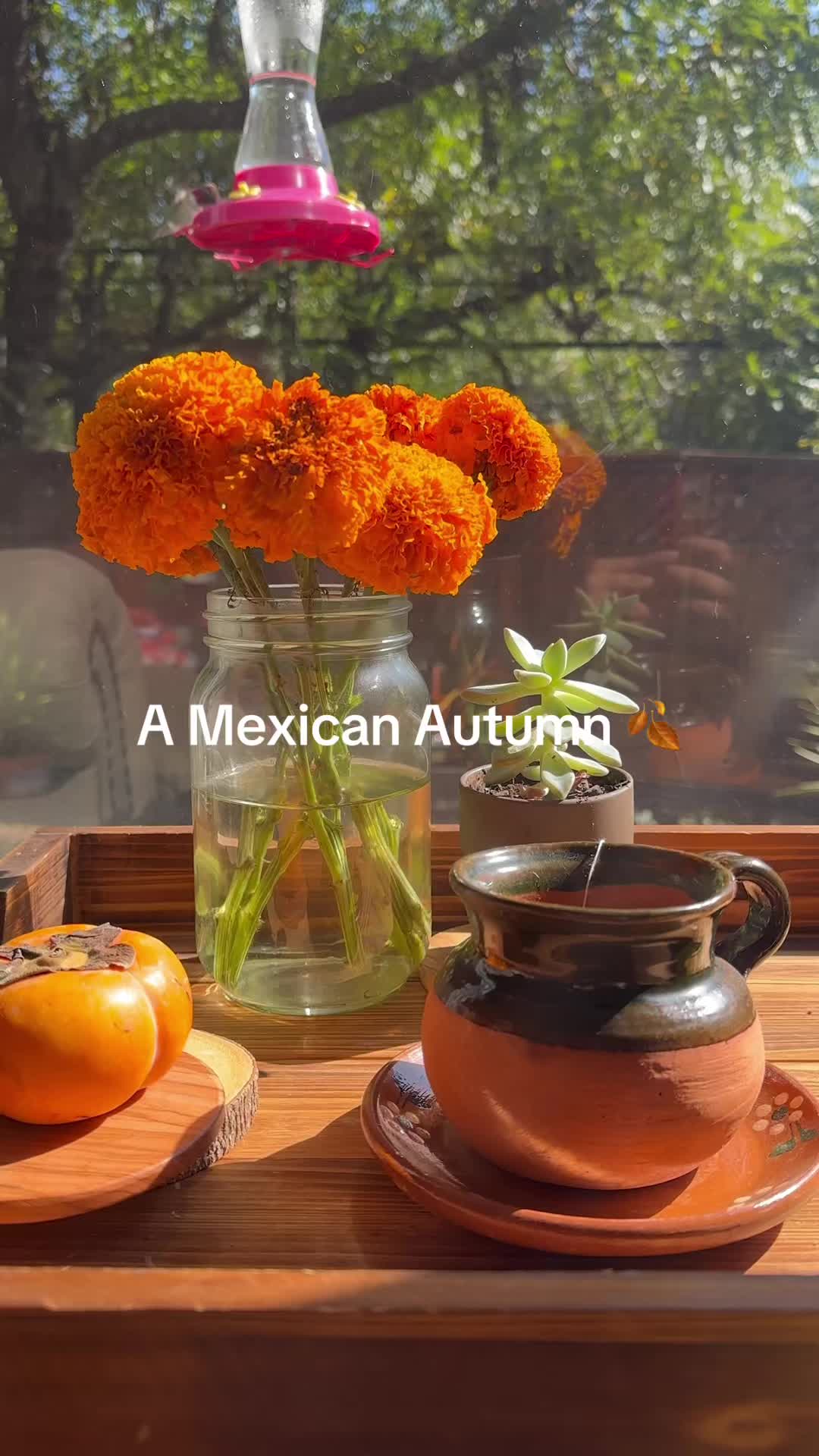@Anna - 🇲🇽 Dietitian