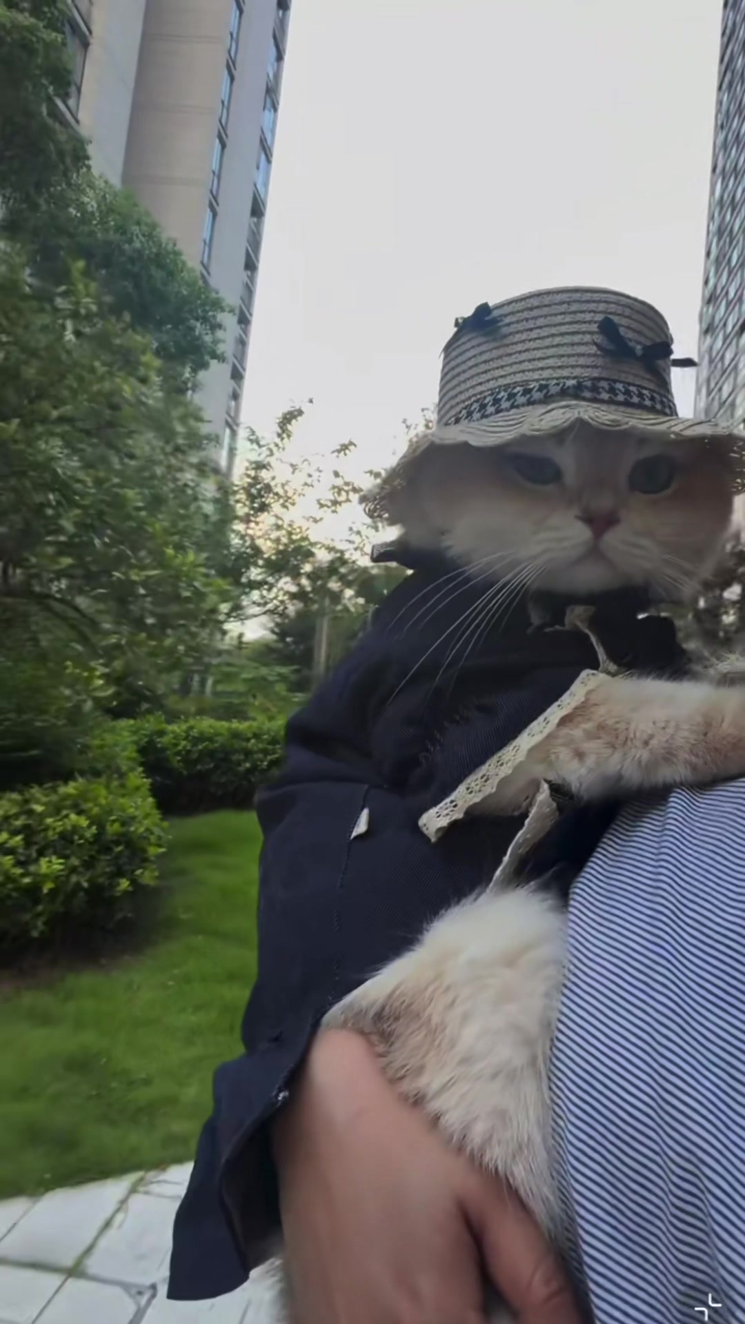 @My Daily Dose of Aww