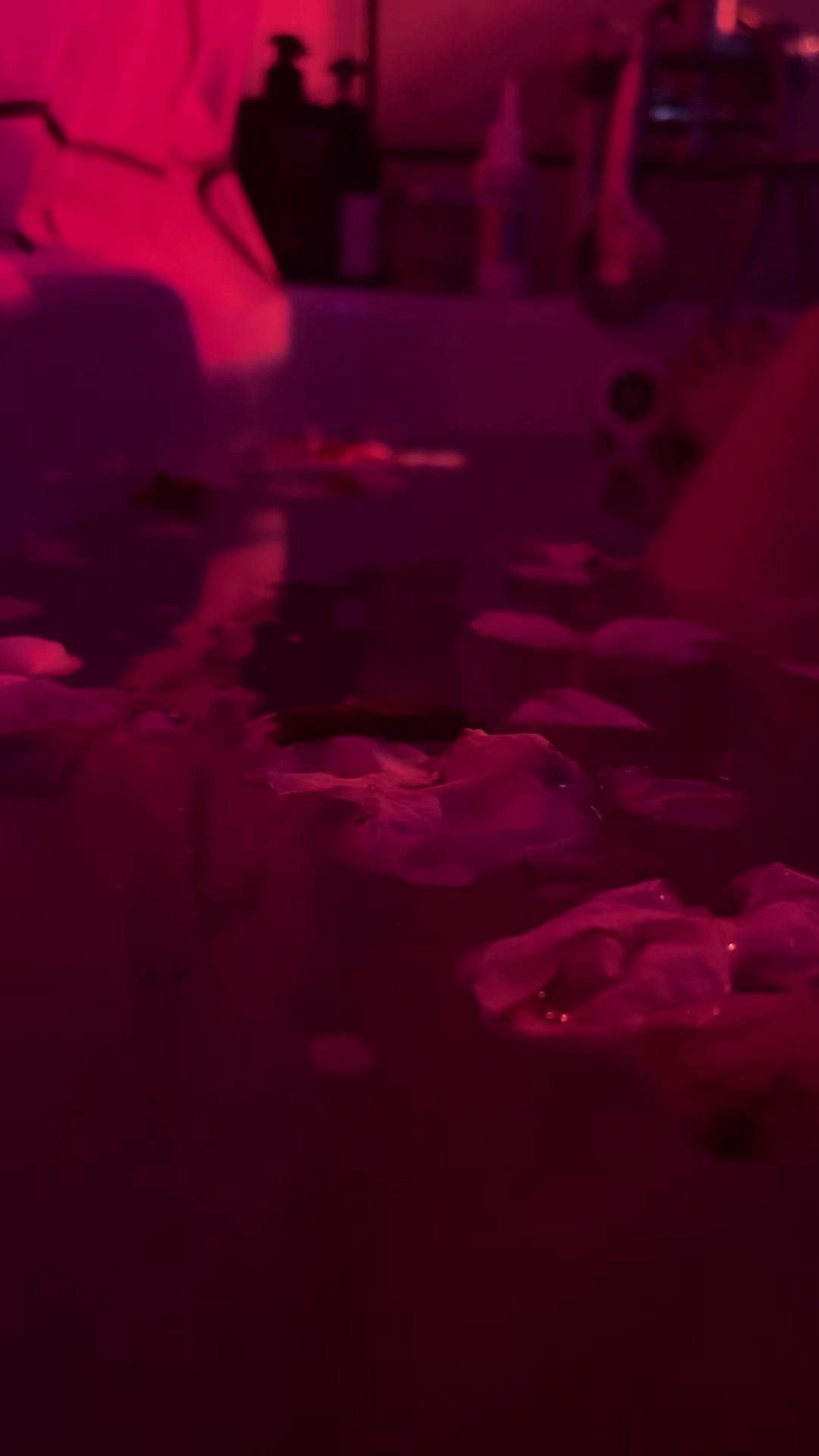 @тгк:gwylmi ⋆˙⟡