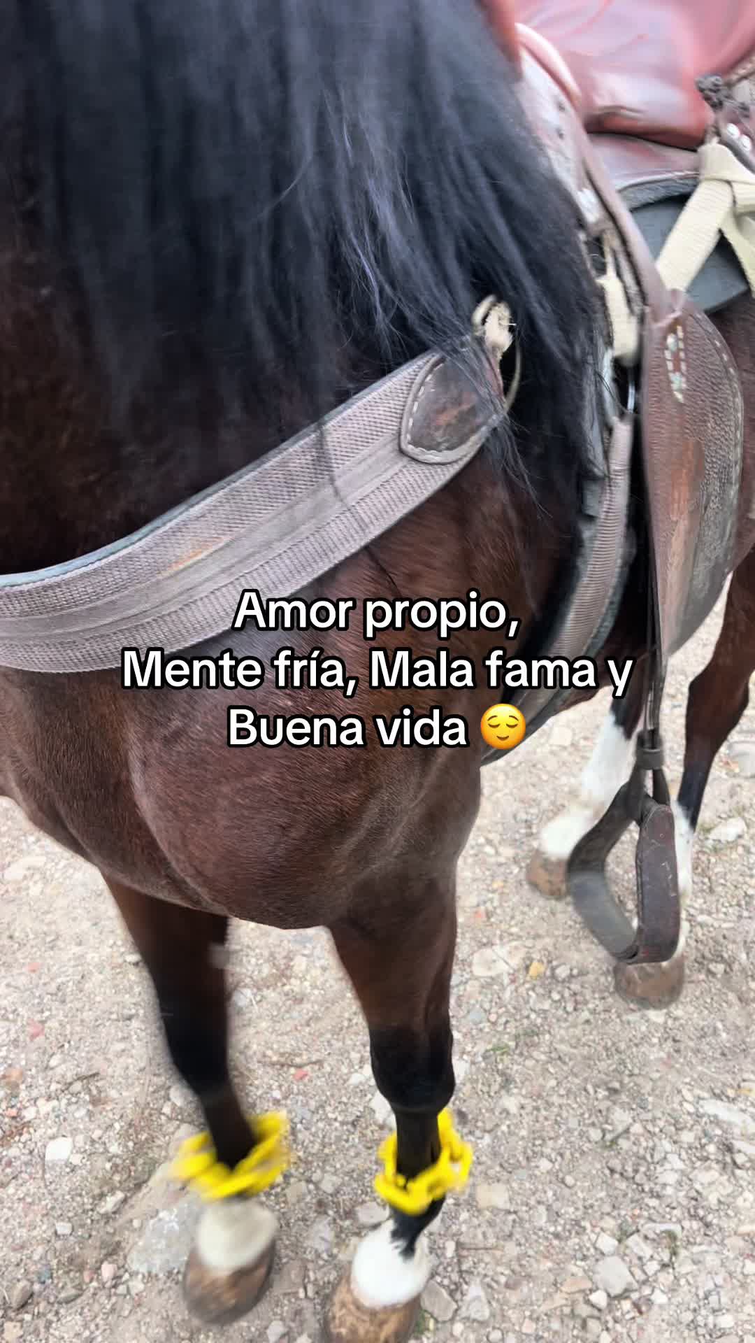 @Juan Rodríguez 🐄