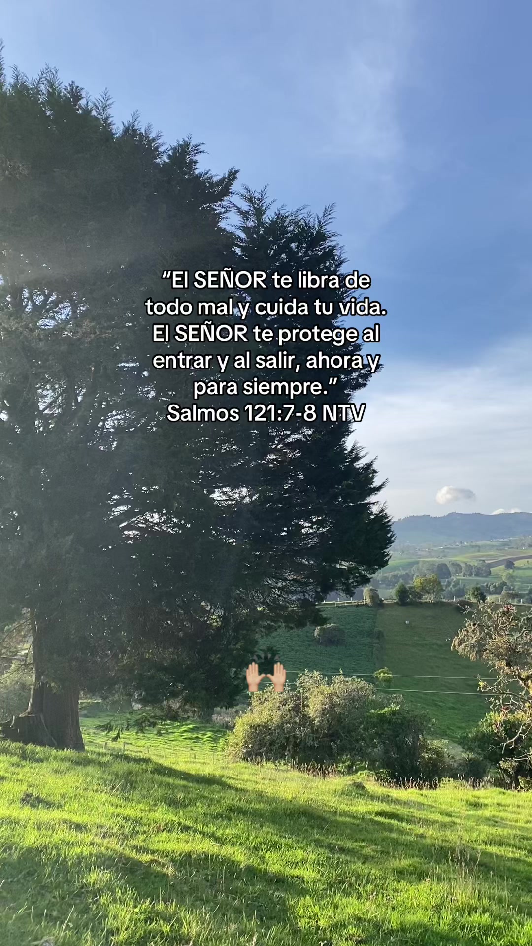 @Amando a Jes&uacute;s