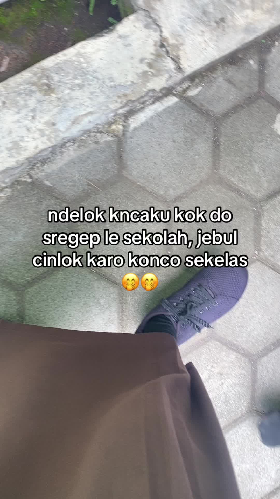 @exc.eltrezz