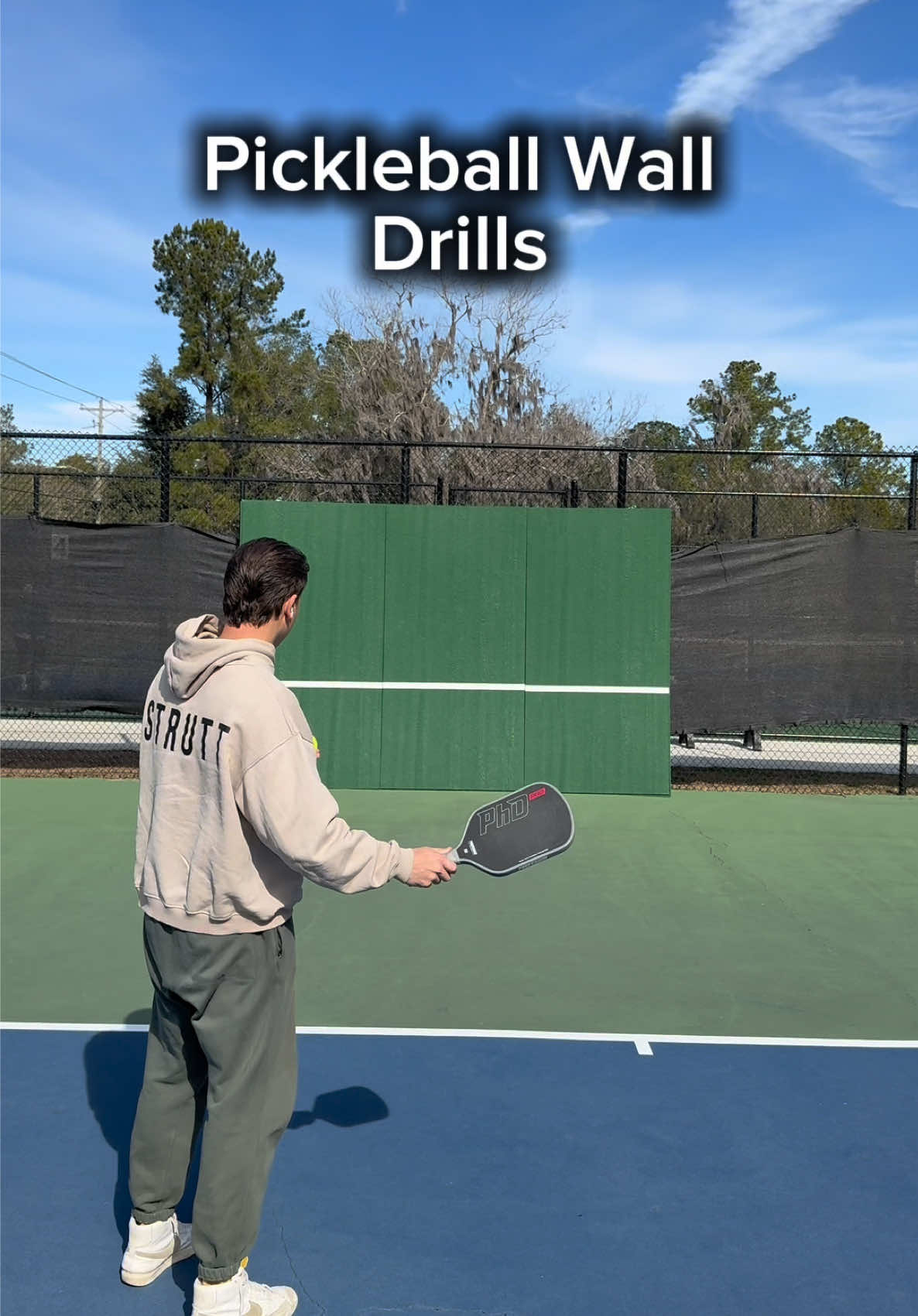 @Professor Pickleball