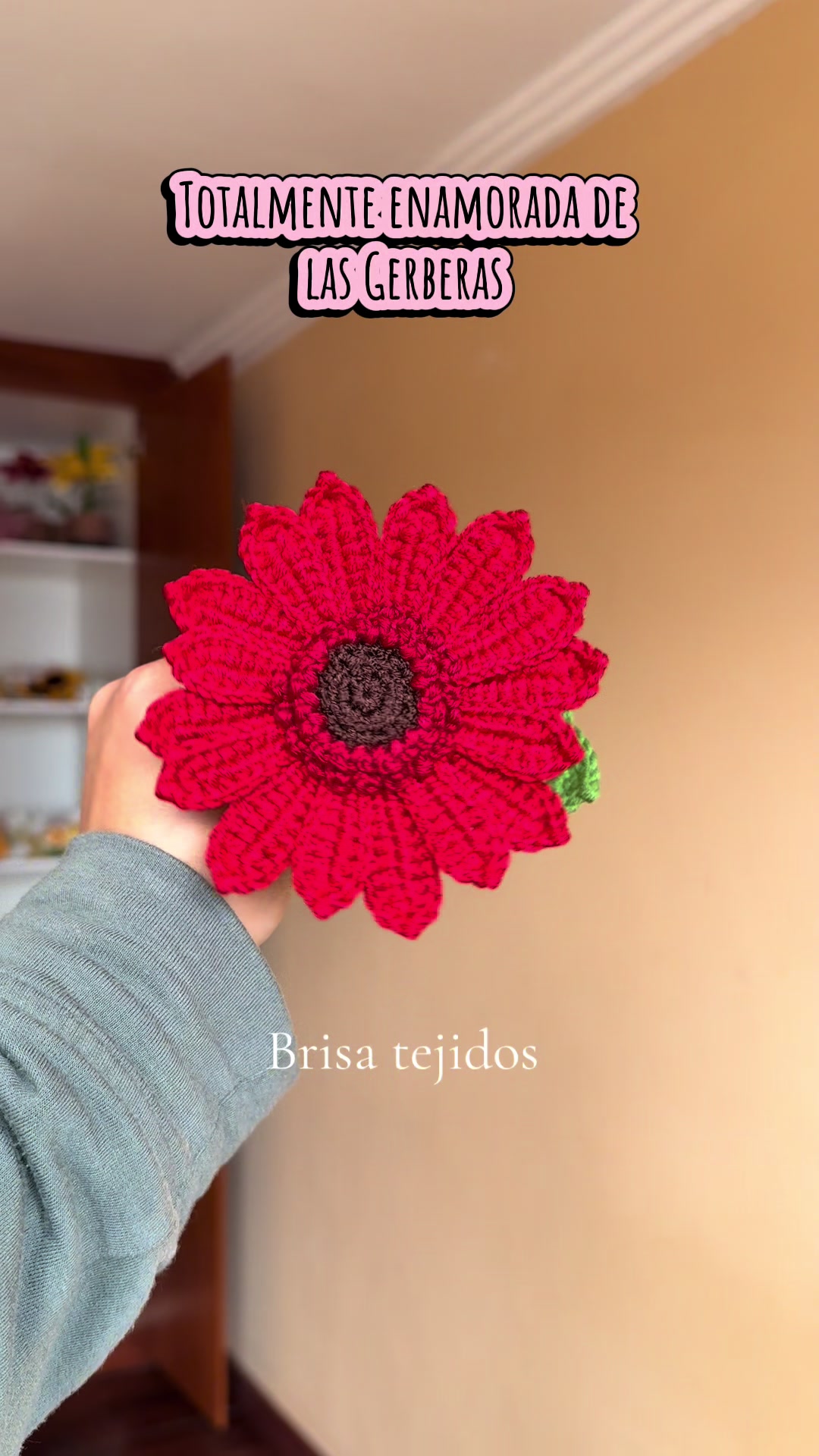 @brisa_tejidos